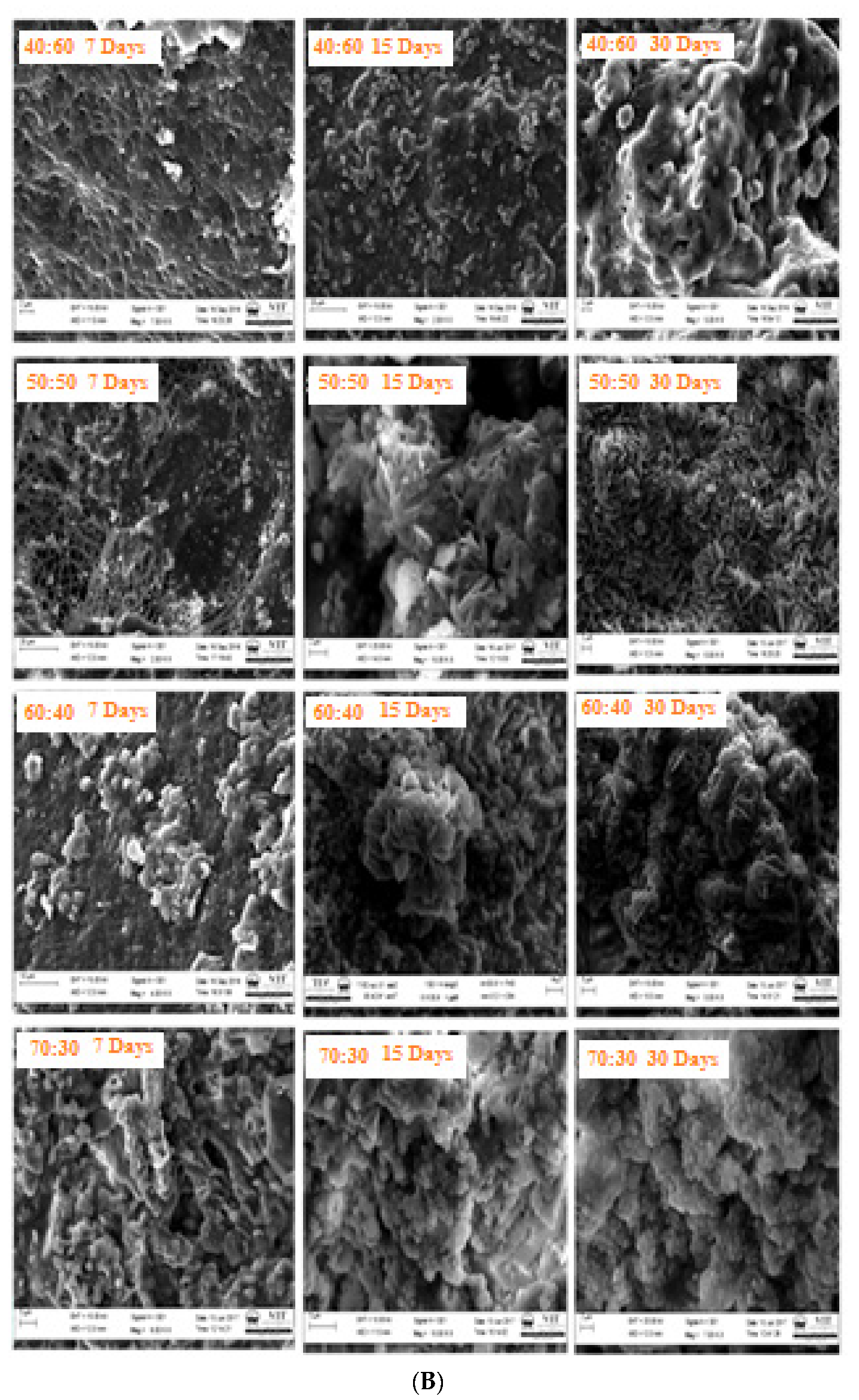 Polymers 15 00155 g005b