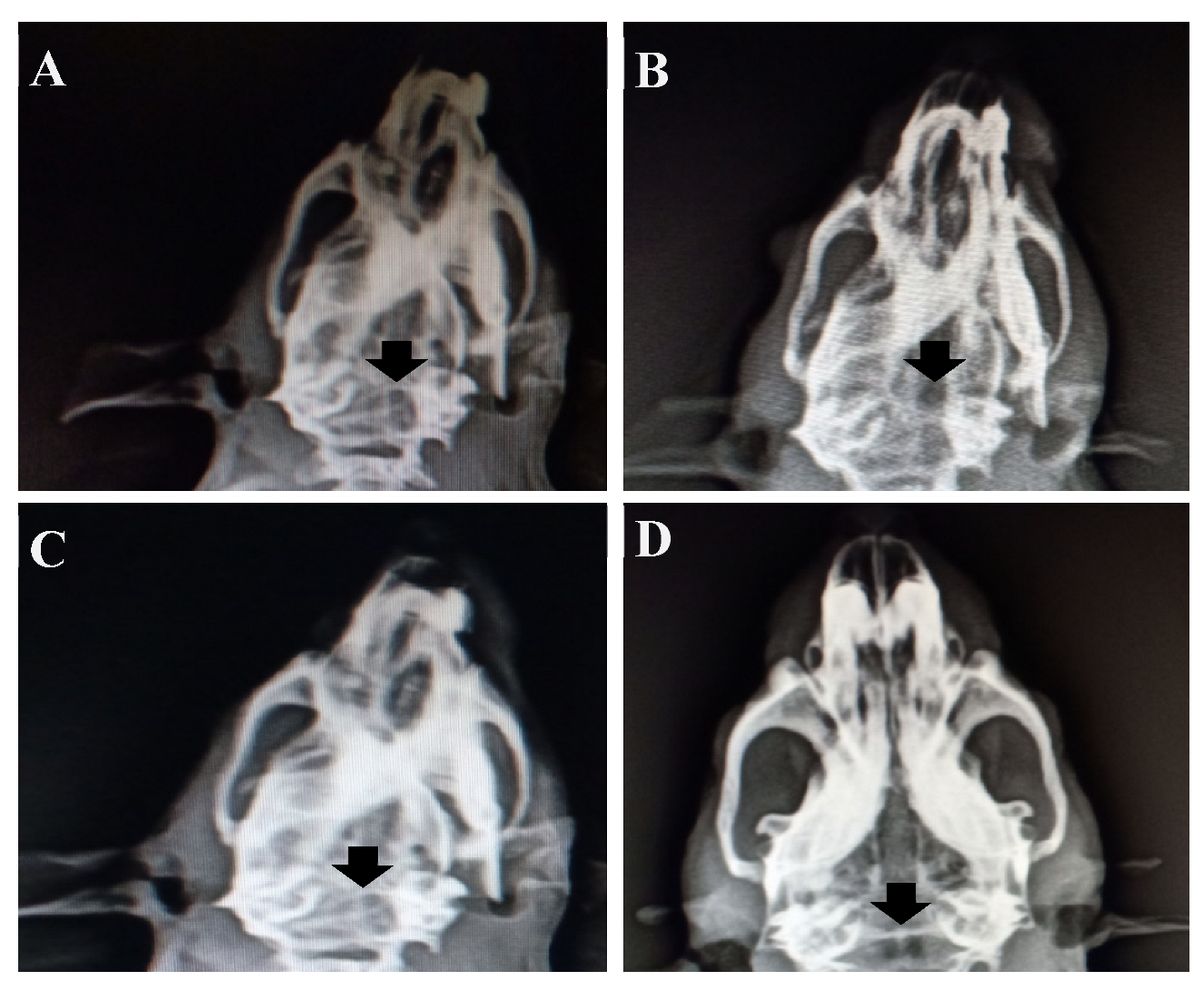 Polymers 15 00155 g009