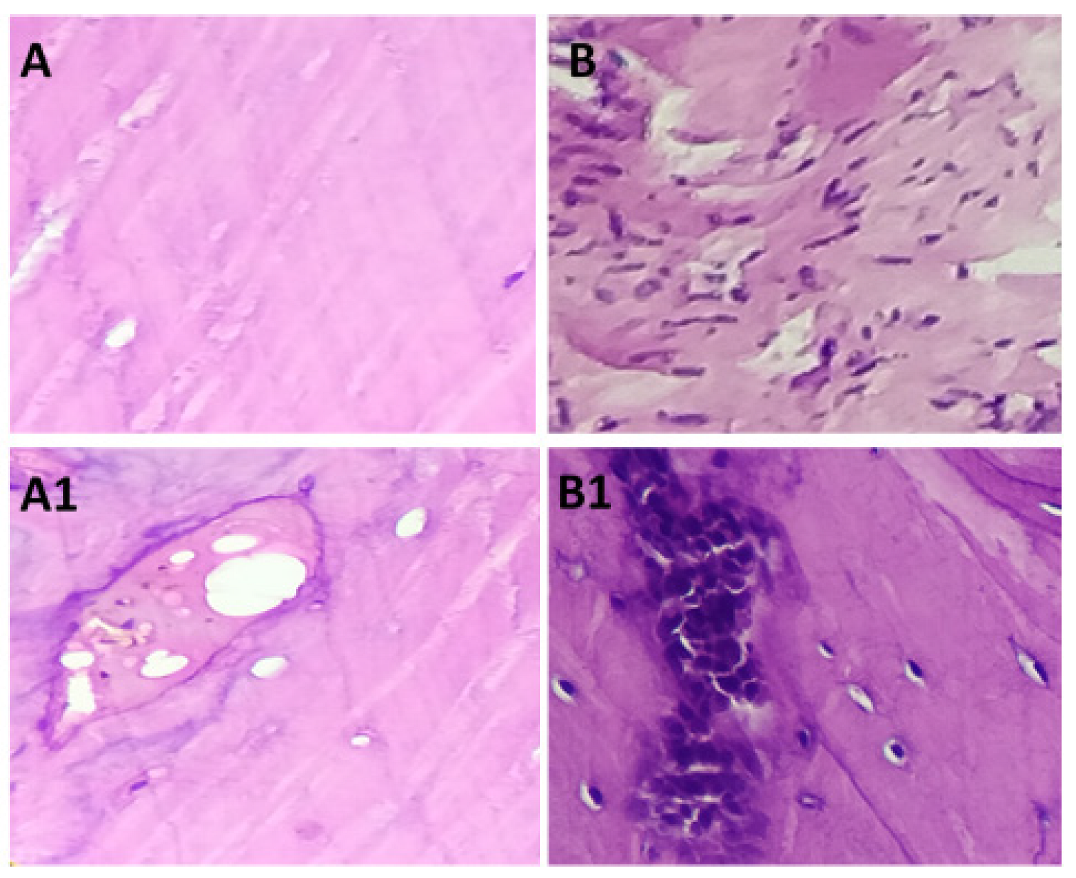 Polymers 15 00155 g010