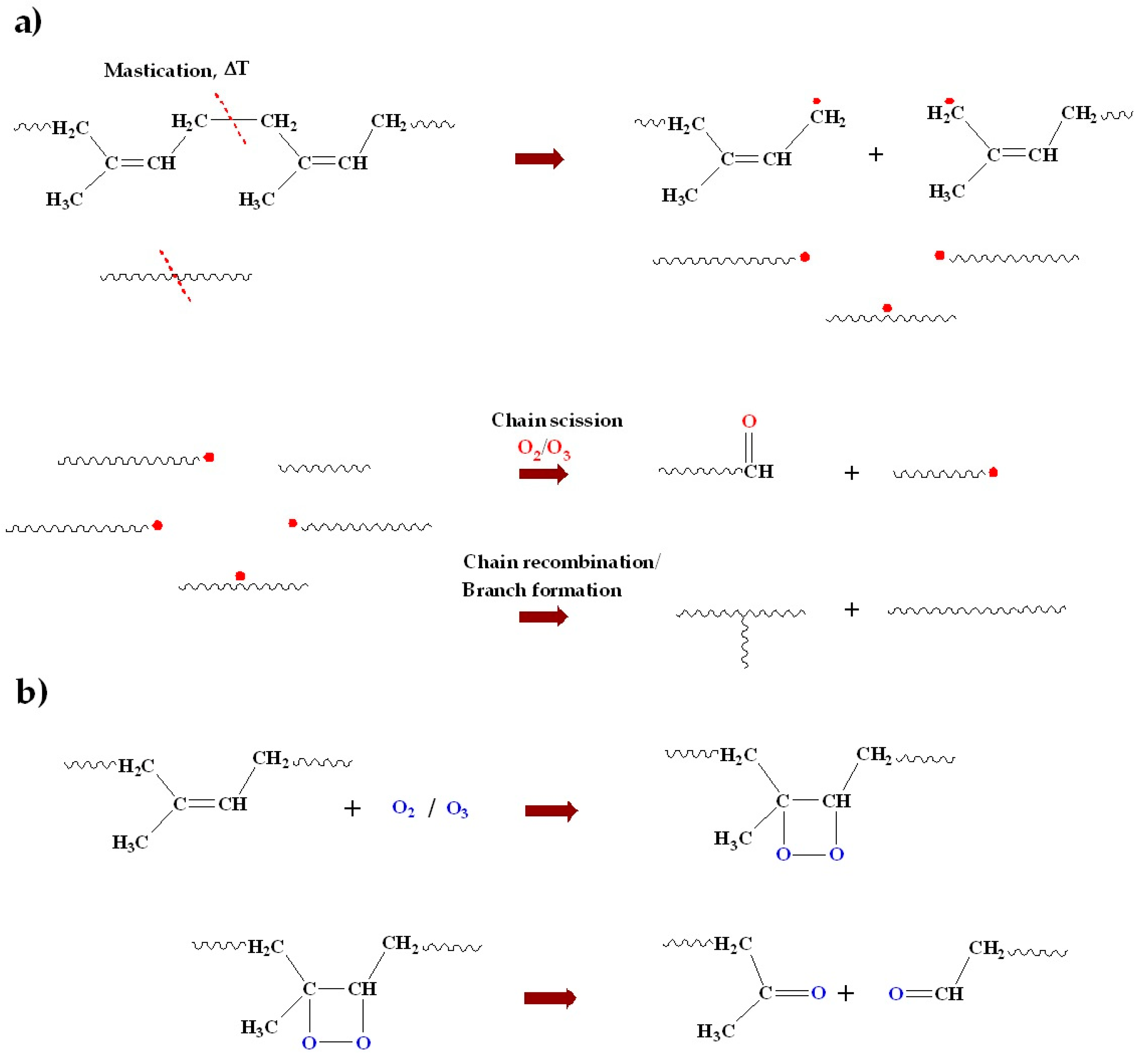 Polymers 15 00160 g003