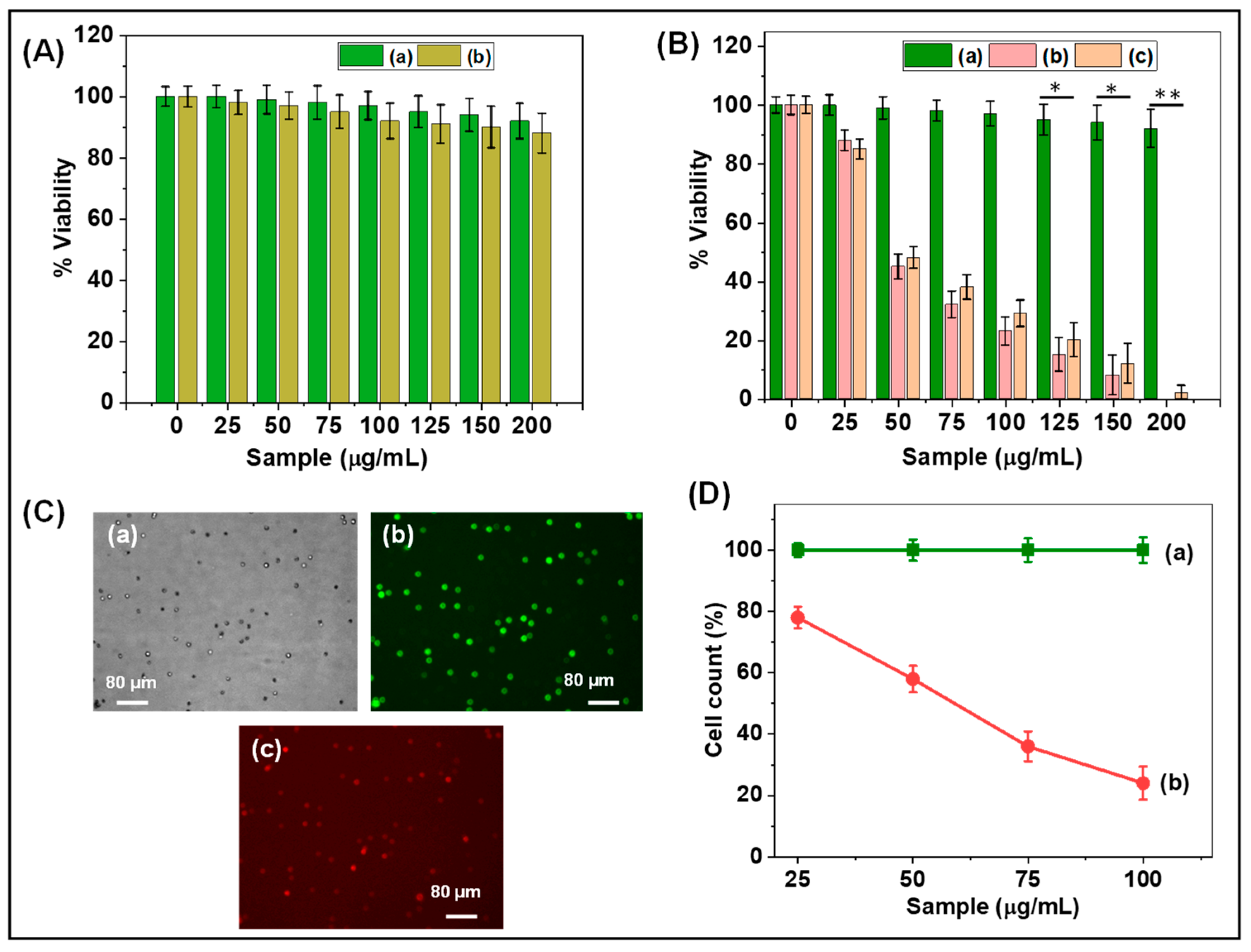 Polymers 15 00167 g006