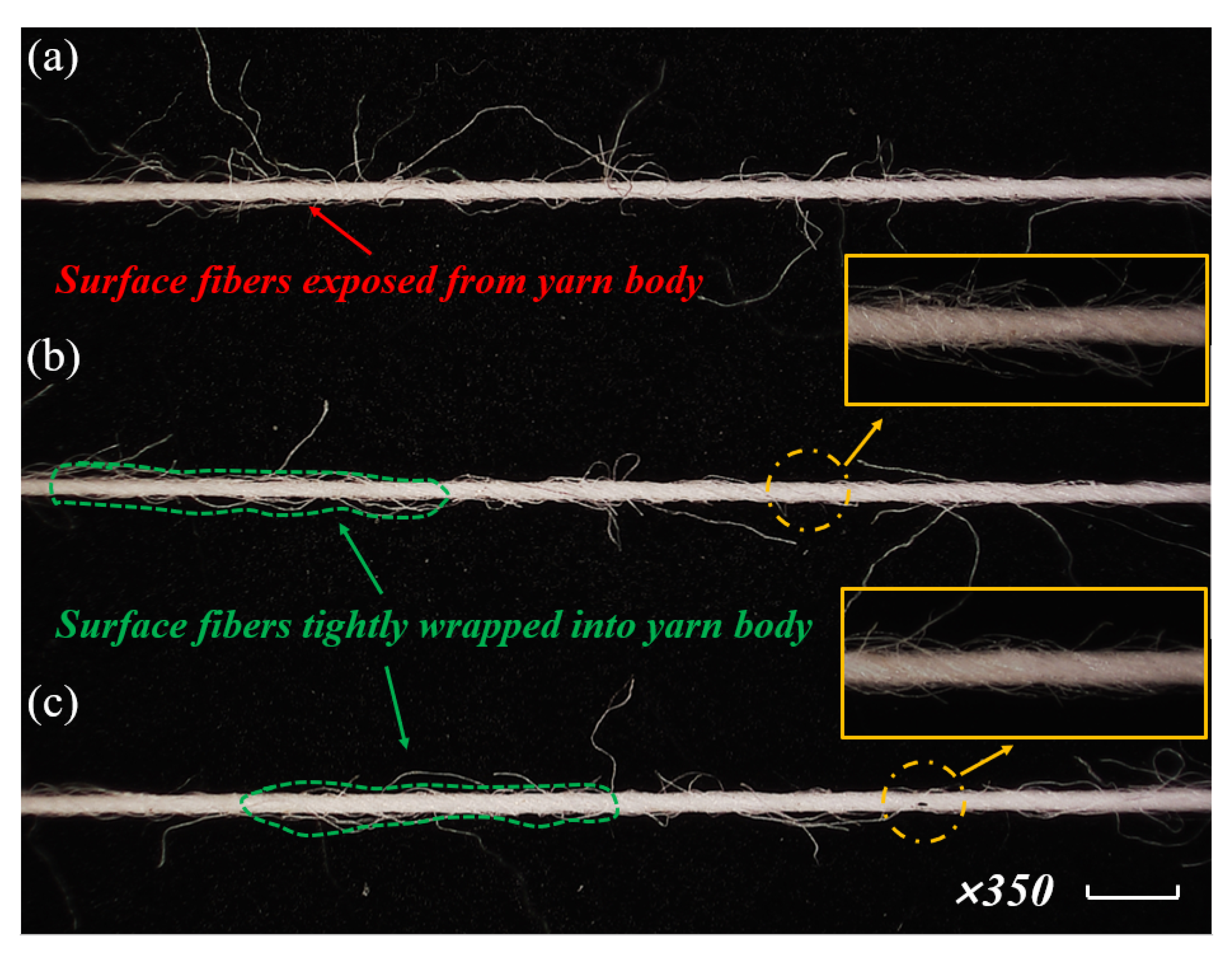 Polymers 15 00176 g008