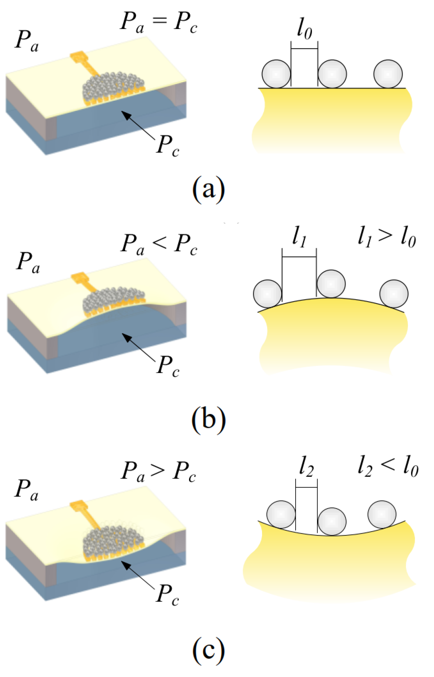 Polymers 15 00180 g002 Polymers 15 00180 g002