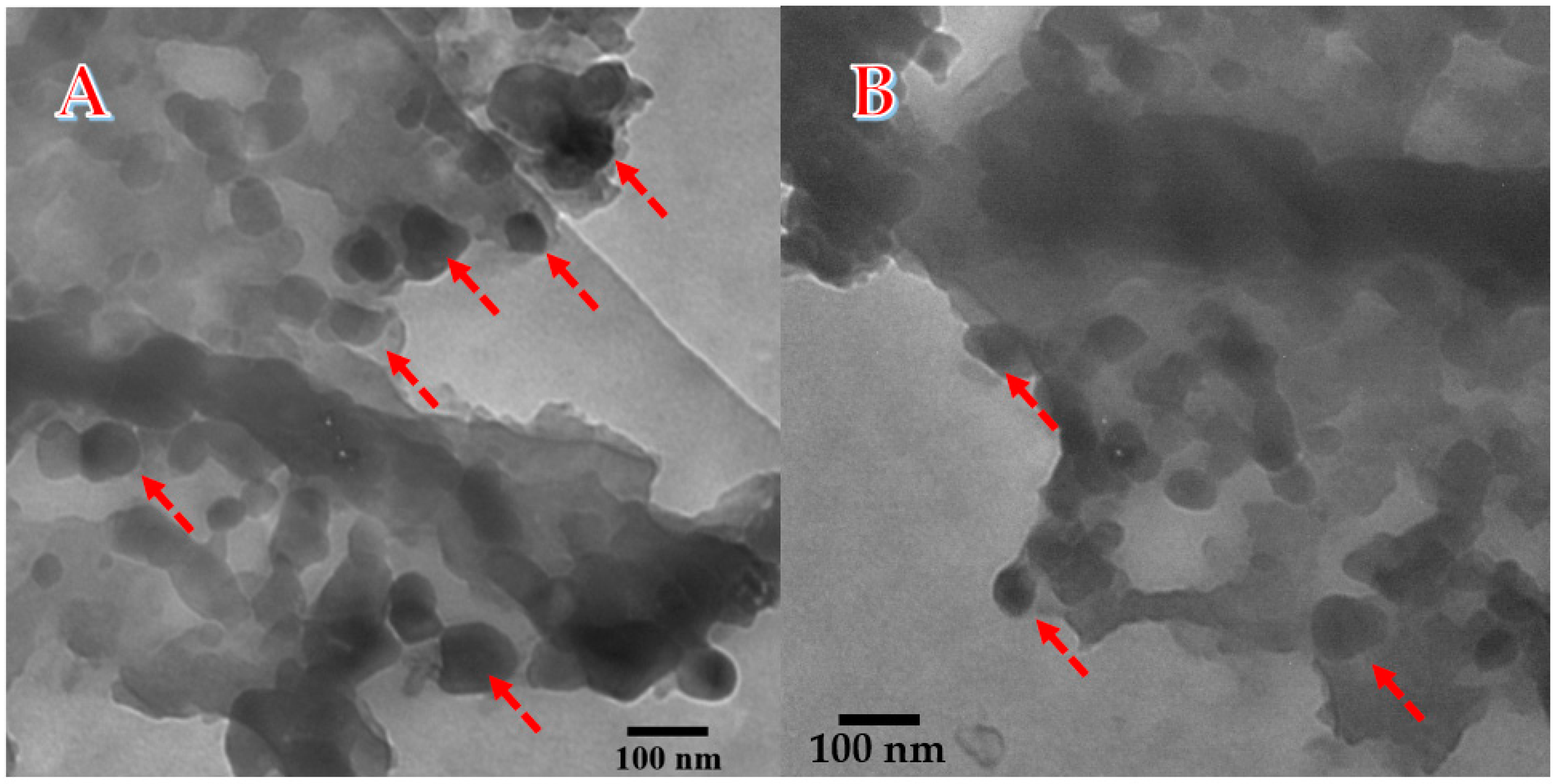 Polymers 15 00185 g006
