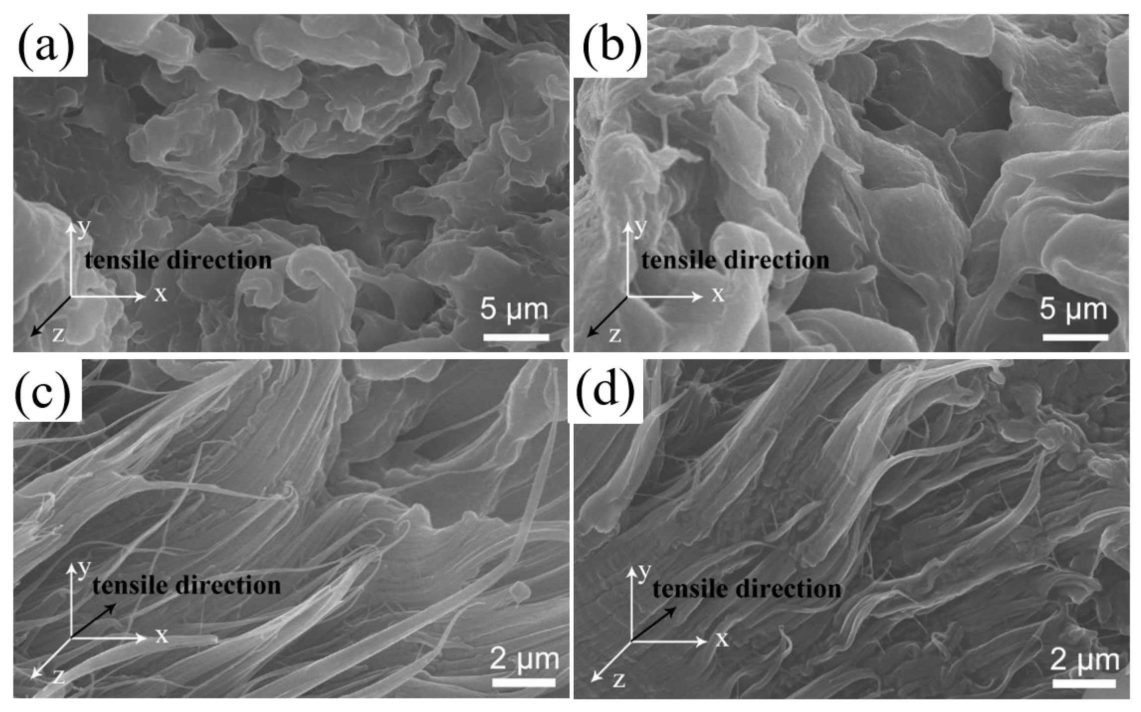 Polymers 15 00186 g005