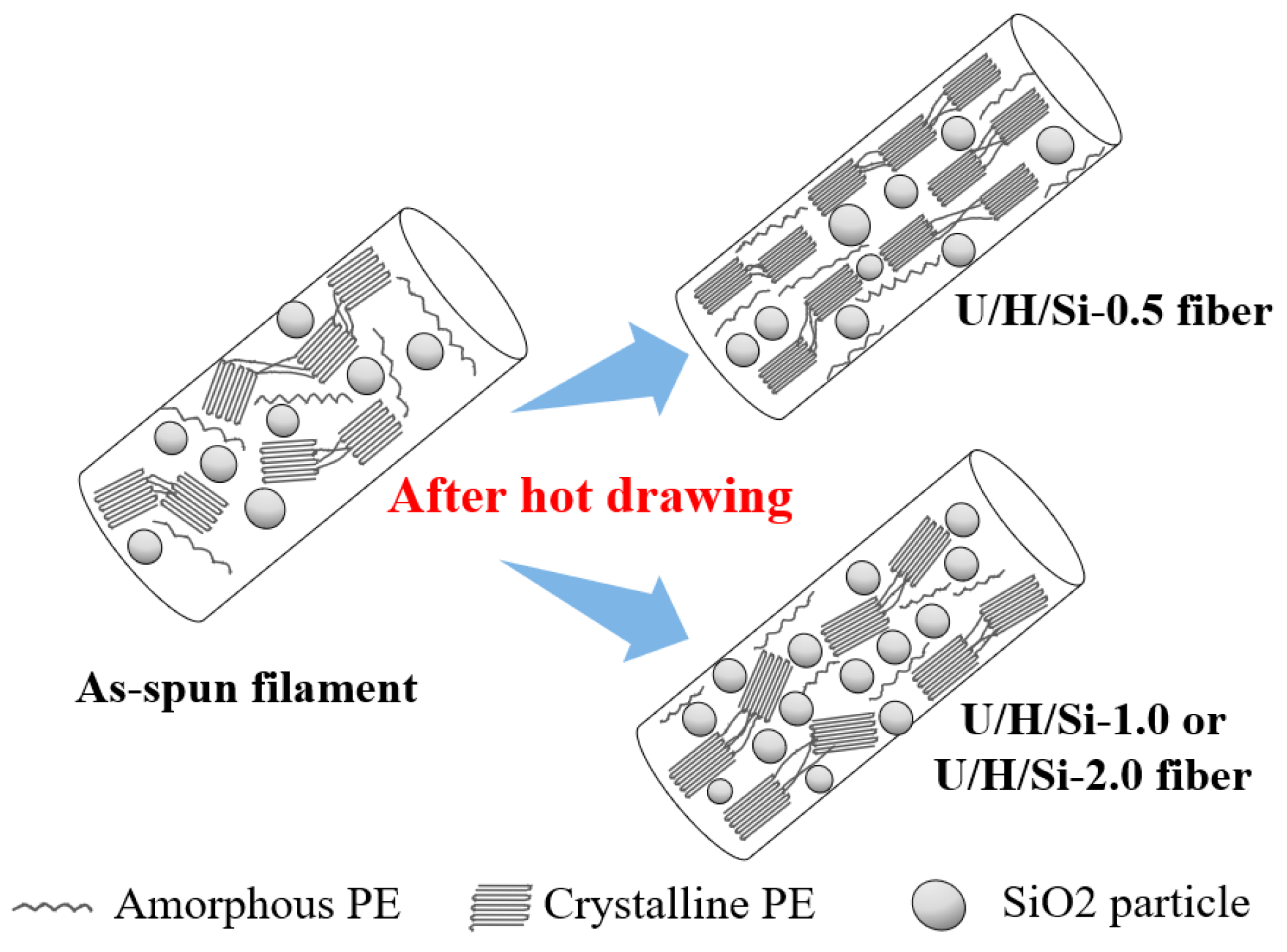 Polymers 15 00186 g007