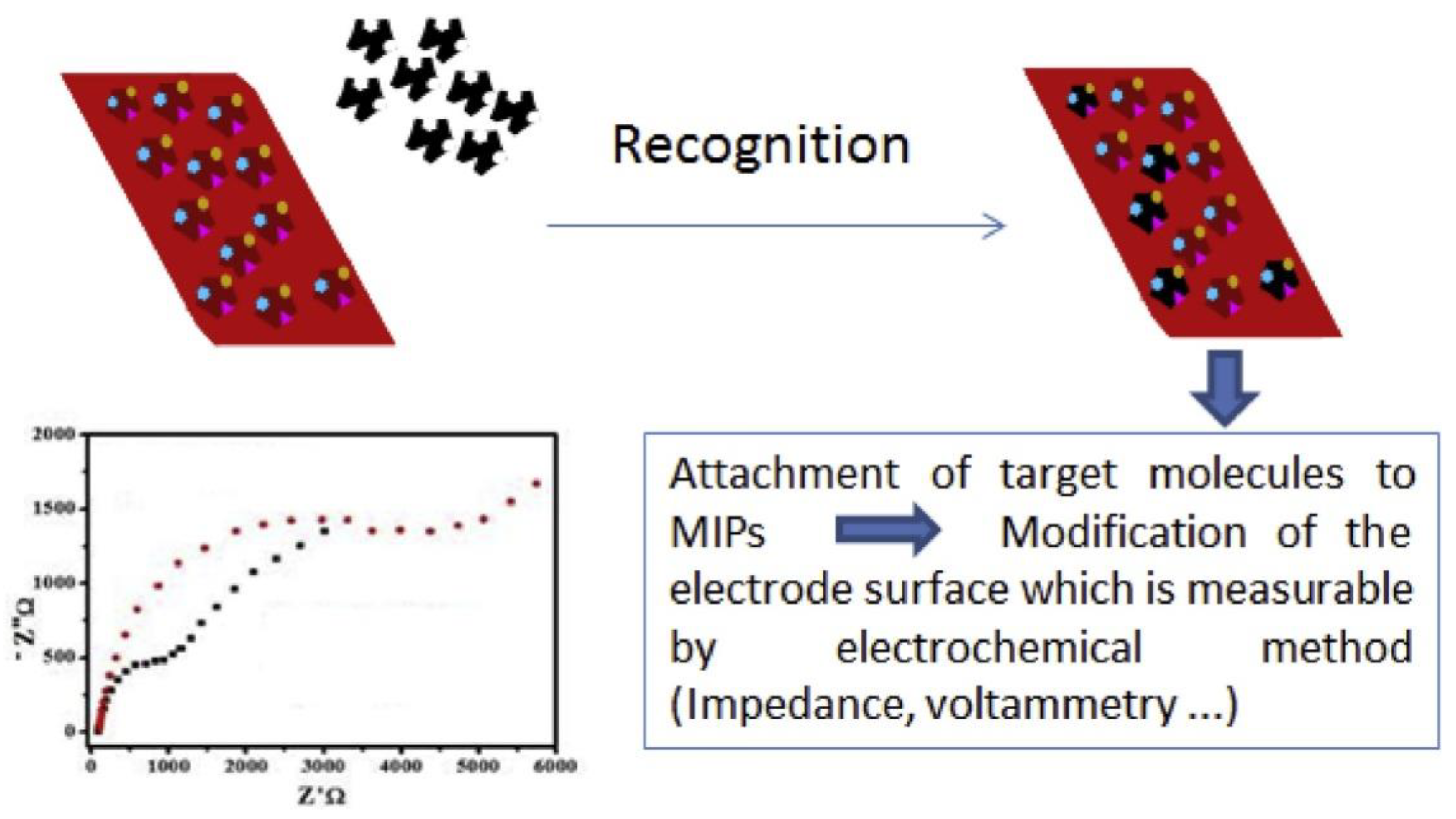 Polymers 15 00187 g002