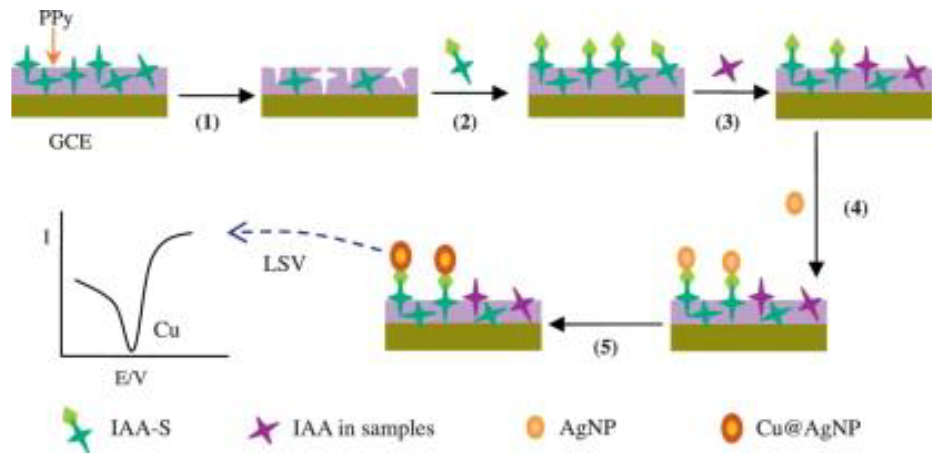 Polymers 15 00187 g003