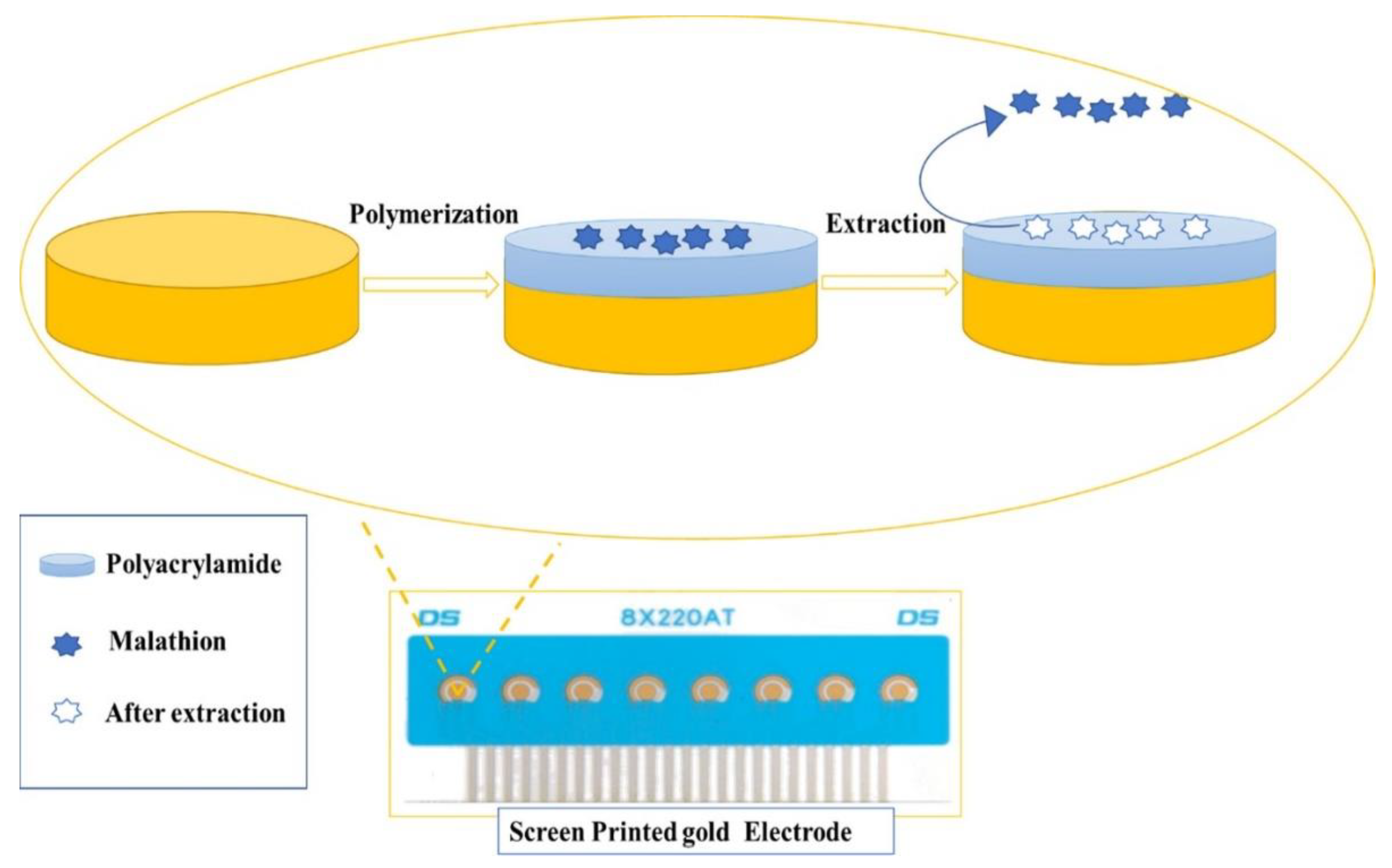 Polymers 15 00187 g006