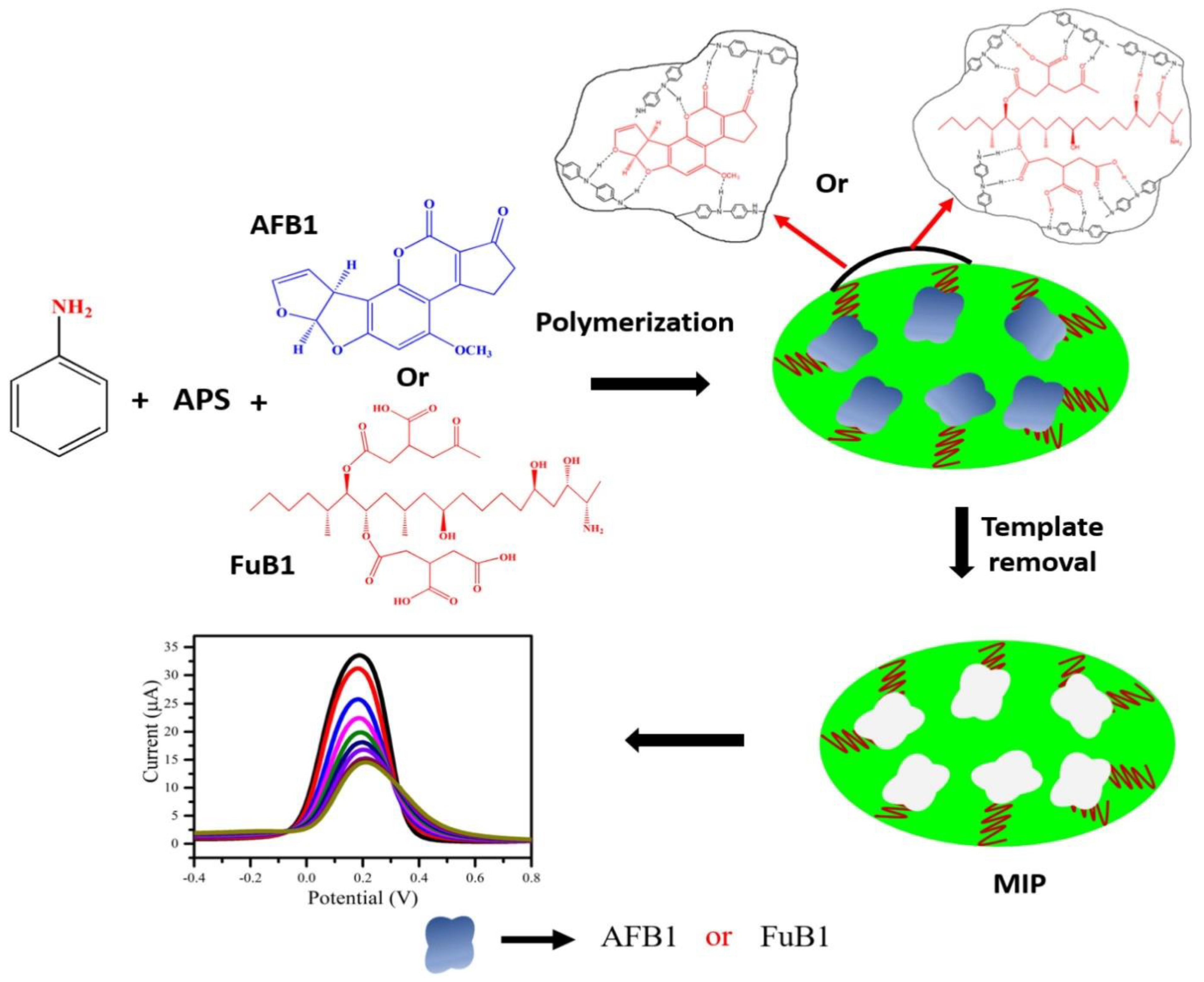 Polymers 15 00187 g007