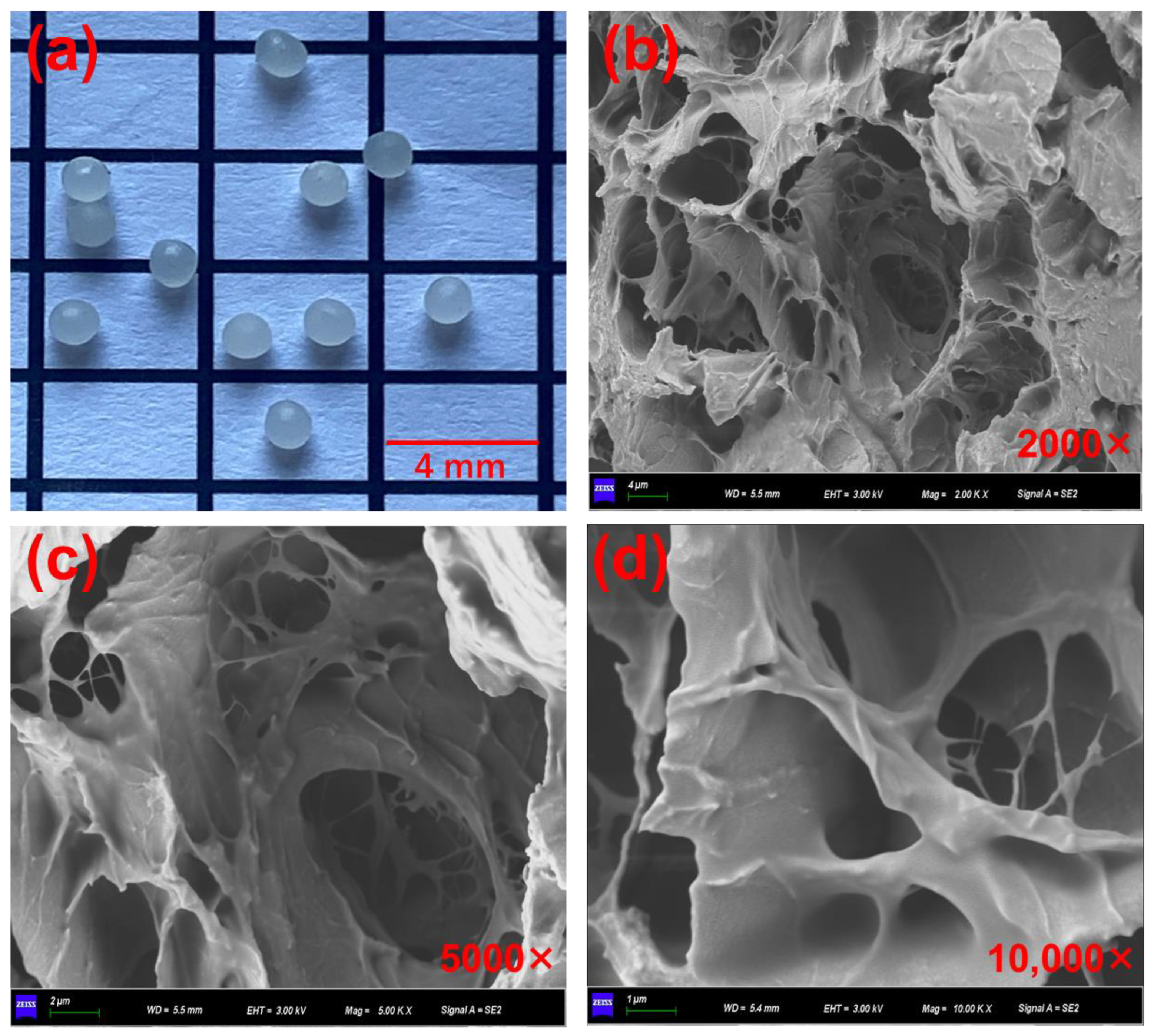 Polymers 15 00199 g006 Polymers 15 00199 g006