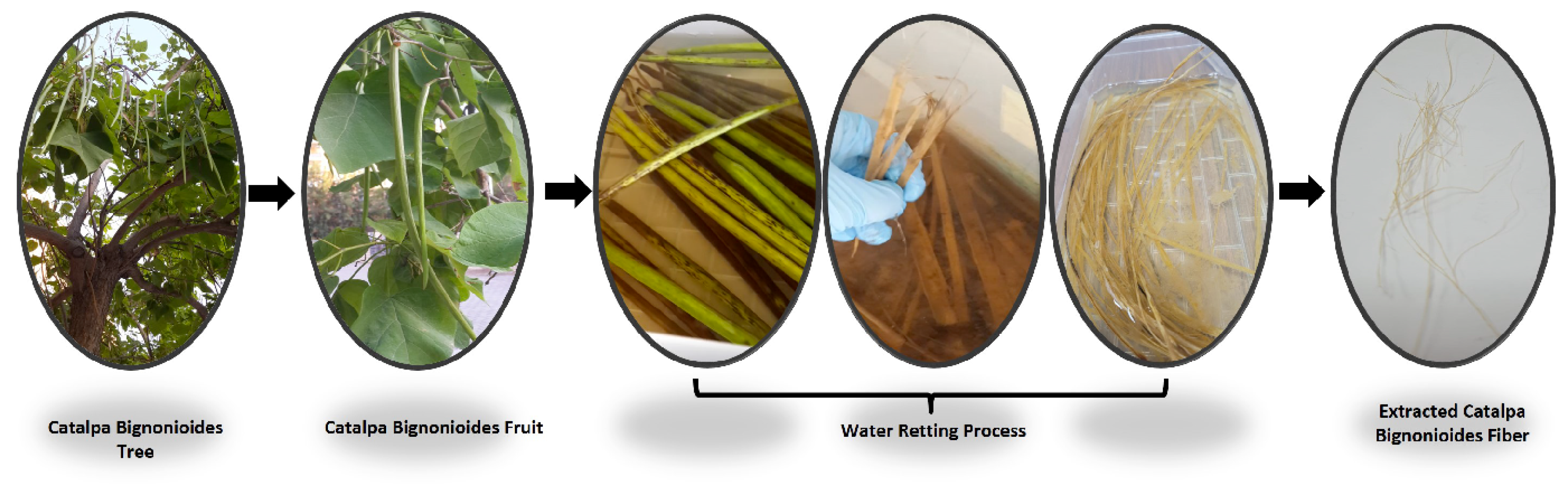 Polymers 15 00201 g001