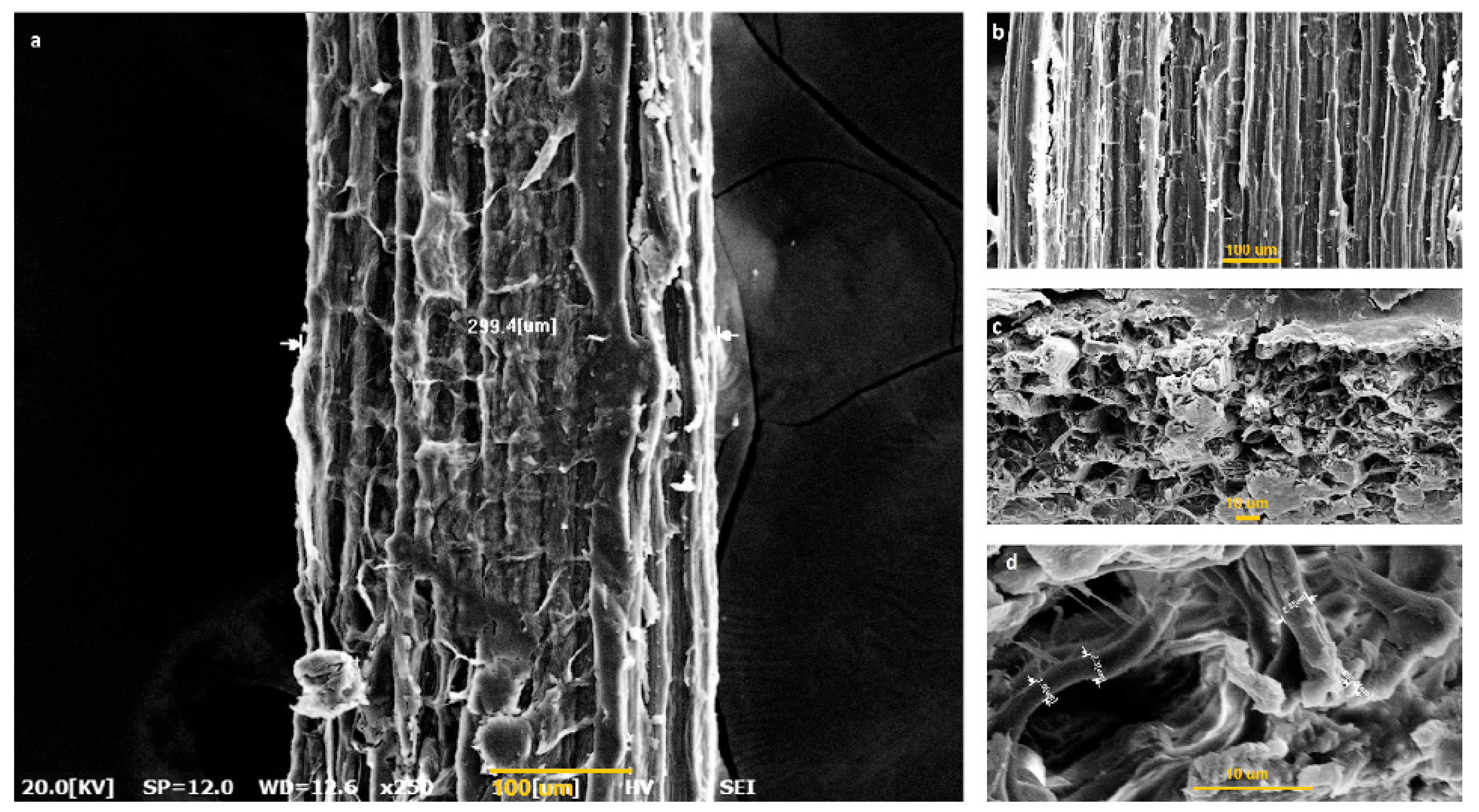 Polymers 15 00201 g002