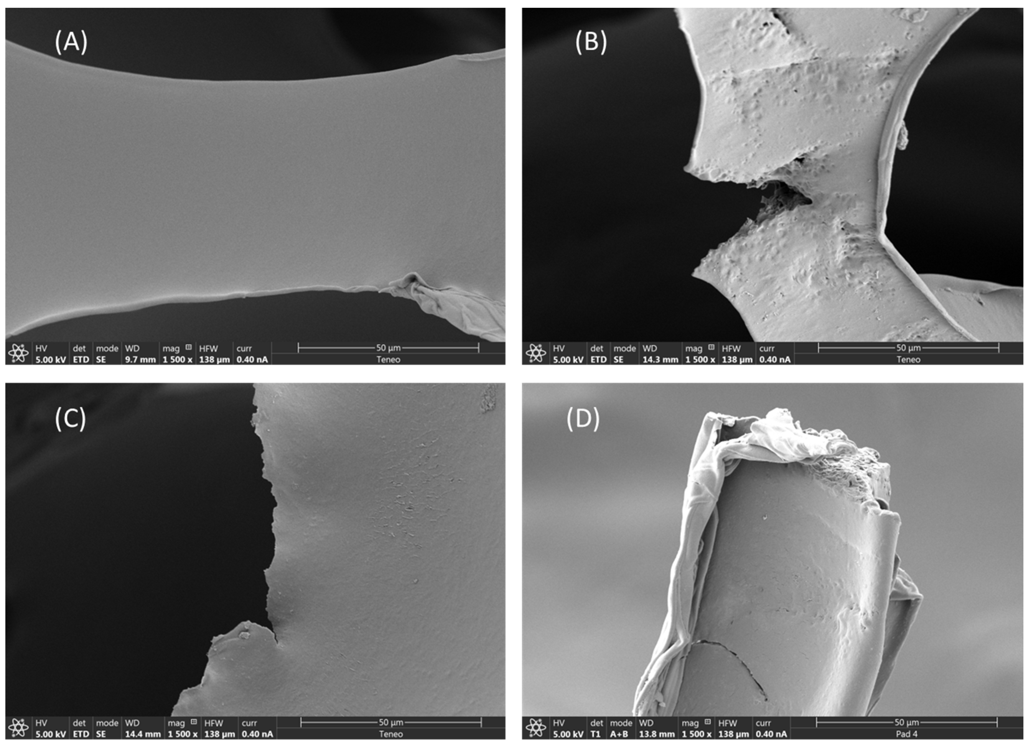 Polymers 15 00204 g003