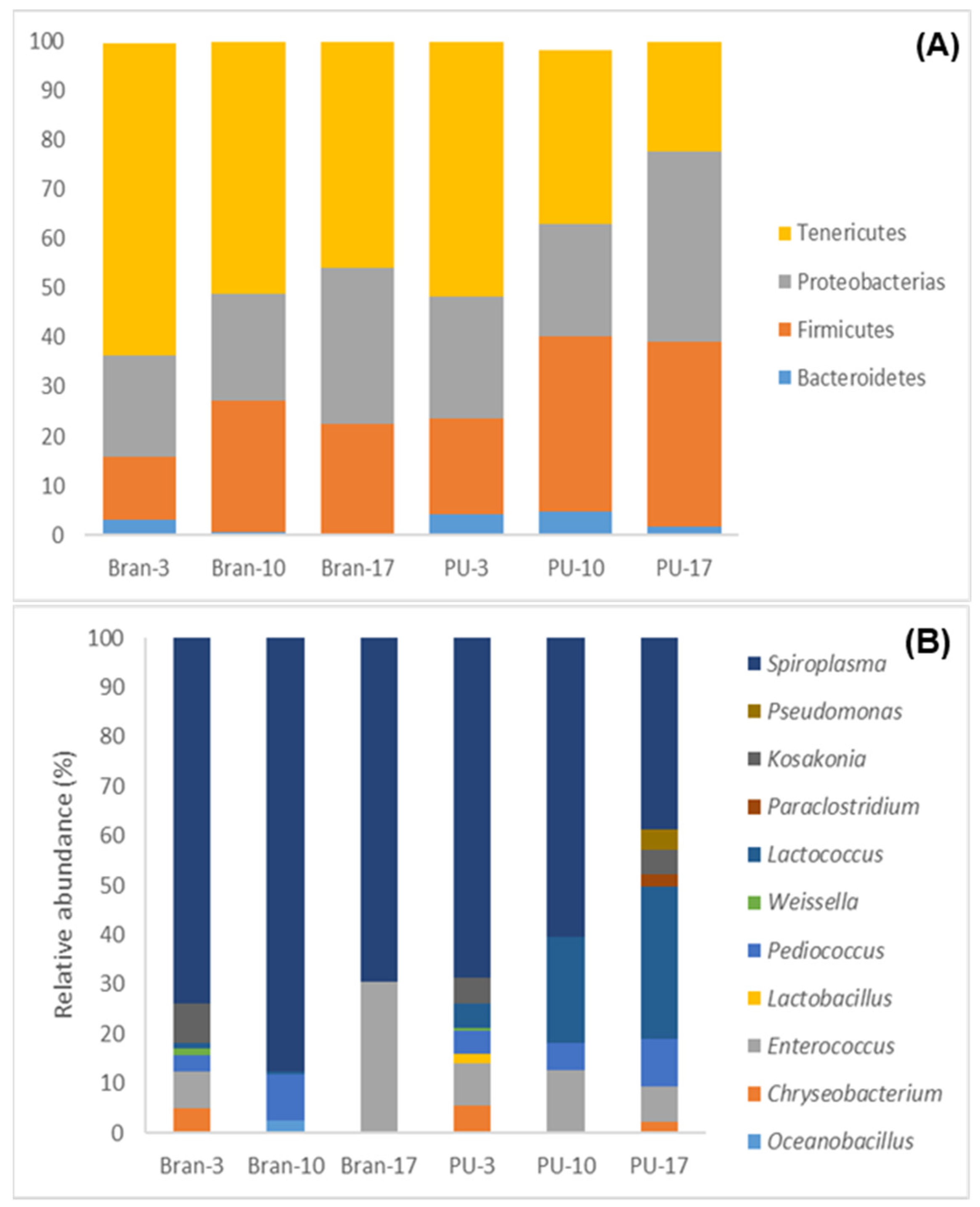 Polymers 15 00204 g007