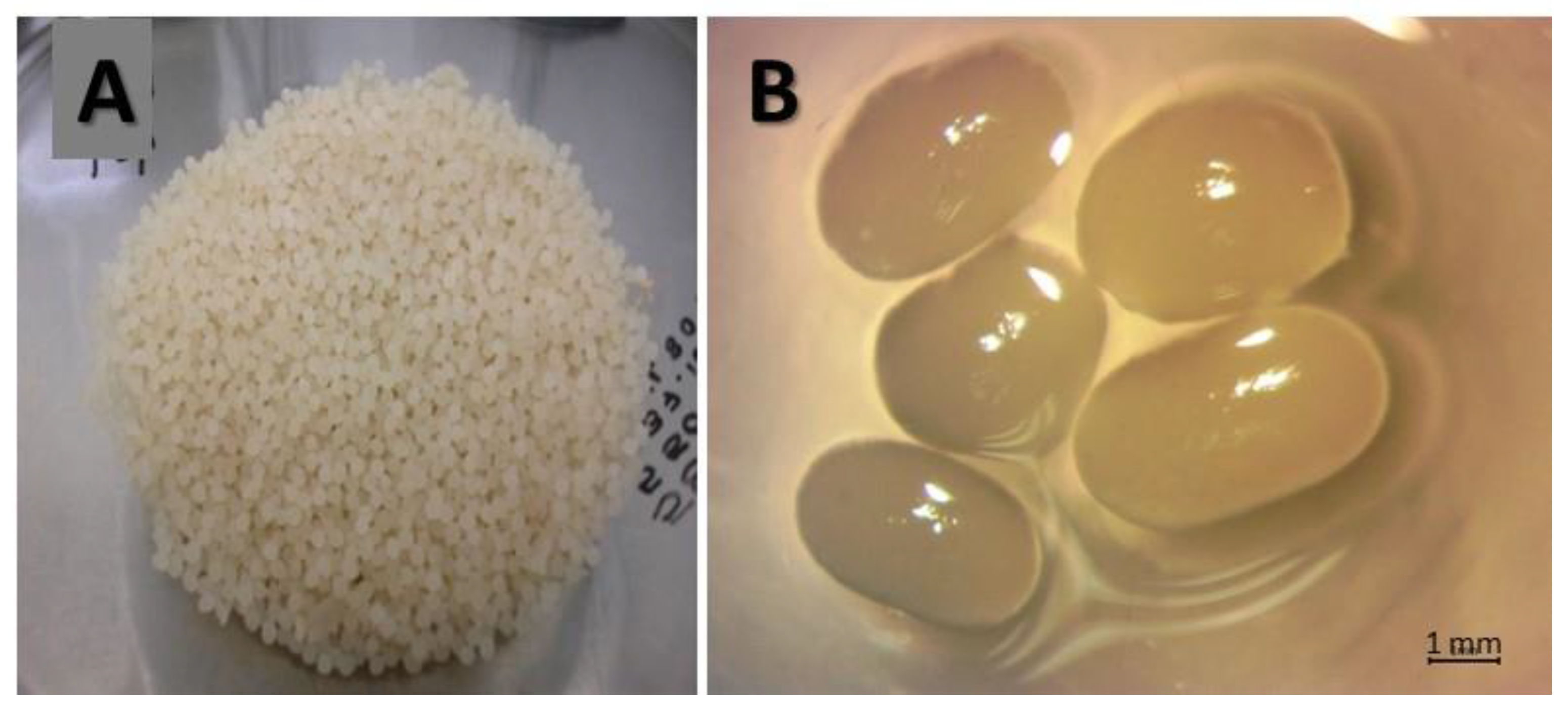 Polymers 15 00207 g005