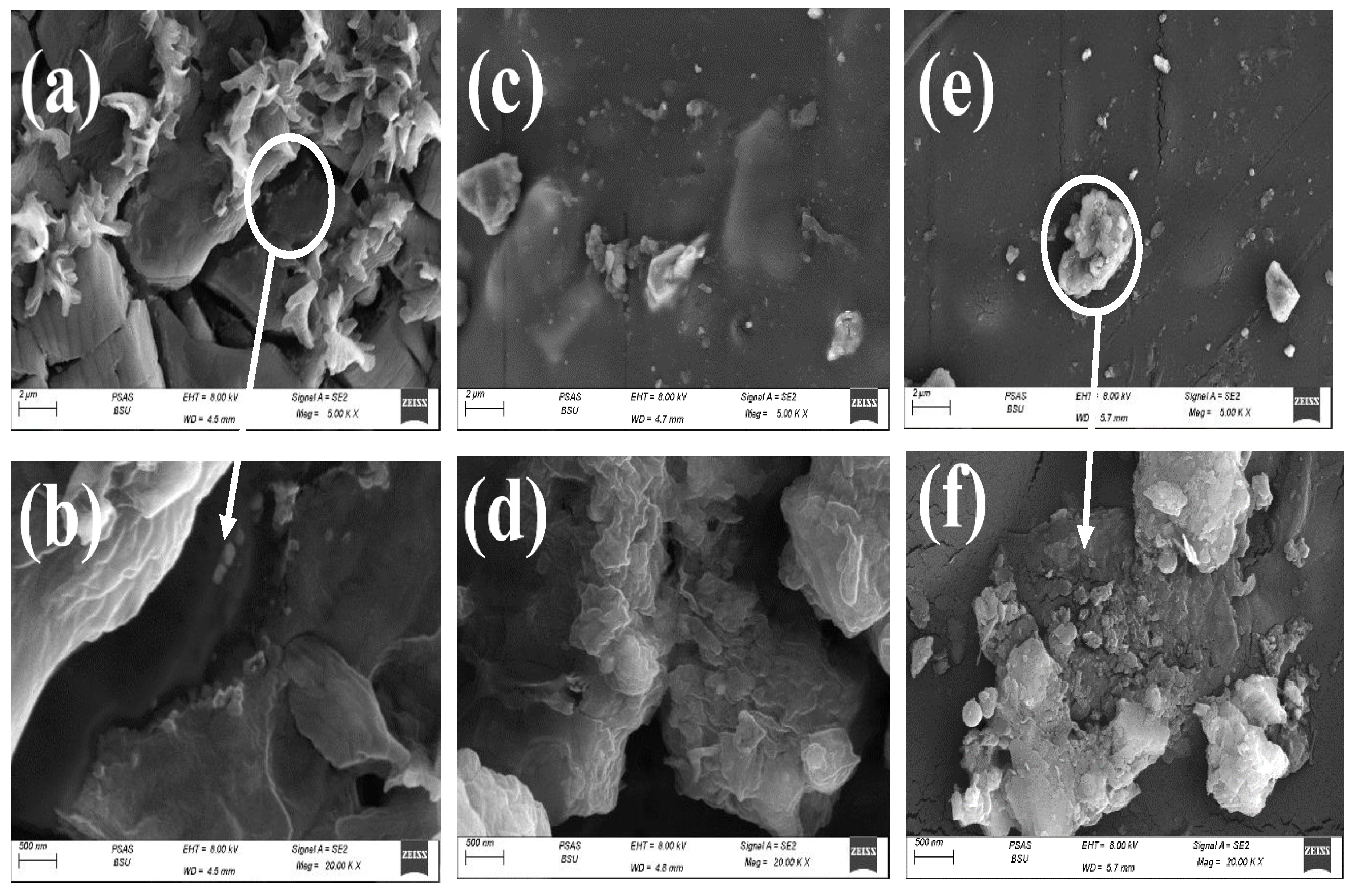 Polymers 15 00211 g003 Polymers 15 00211 g003