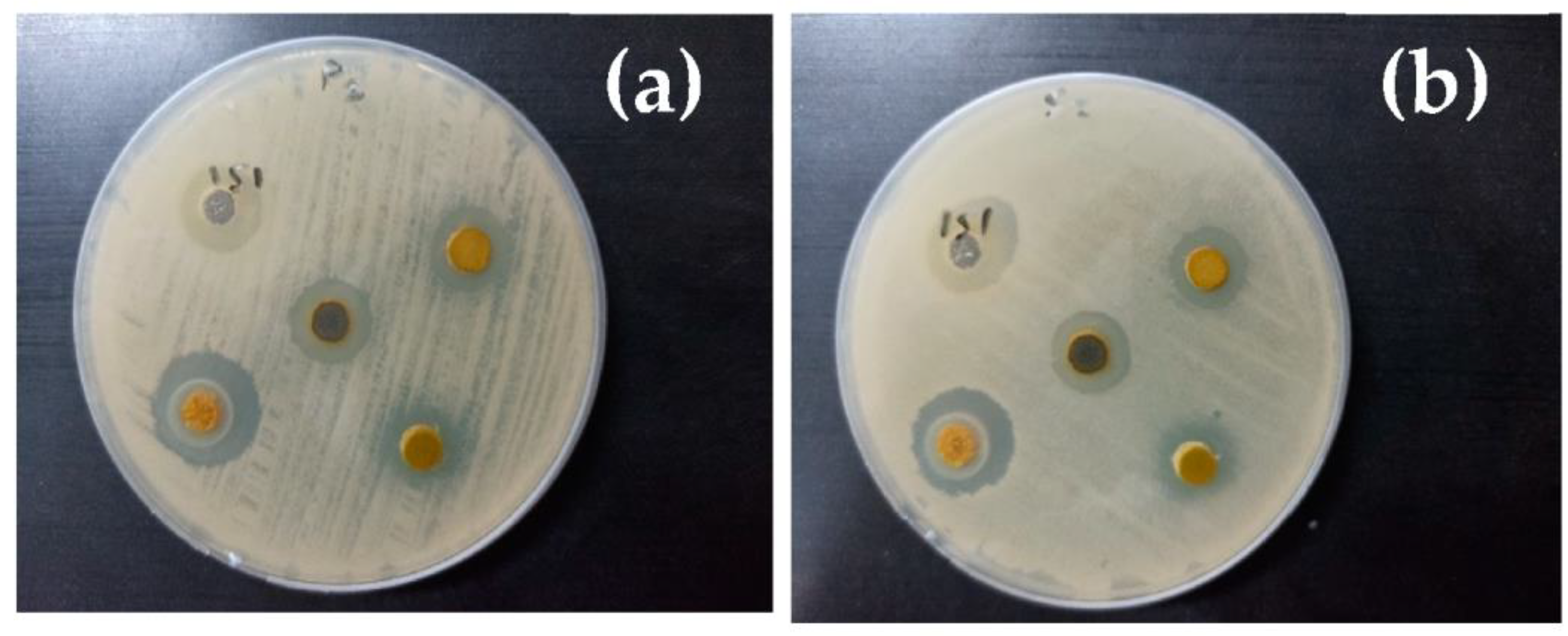 Polymers 15 00211 g009 Polymers 15 00211 g009