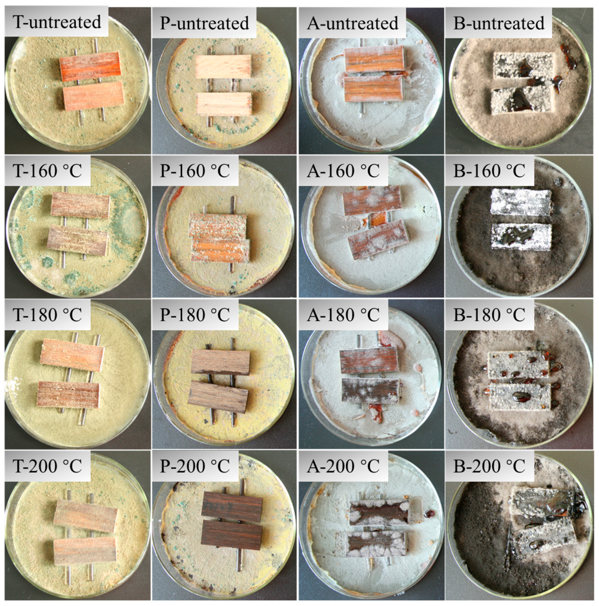 Polymers 15 00214 g011