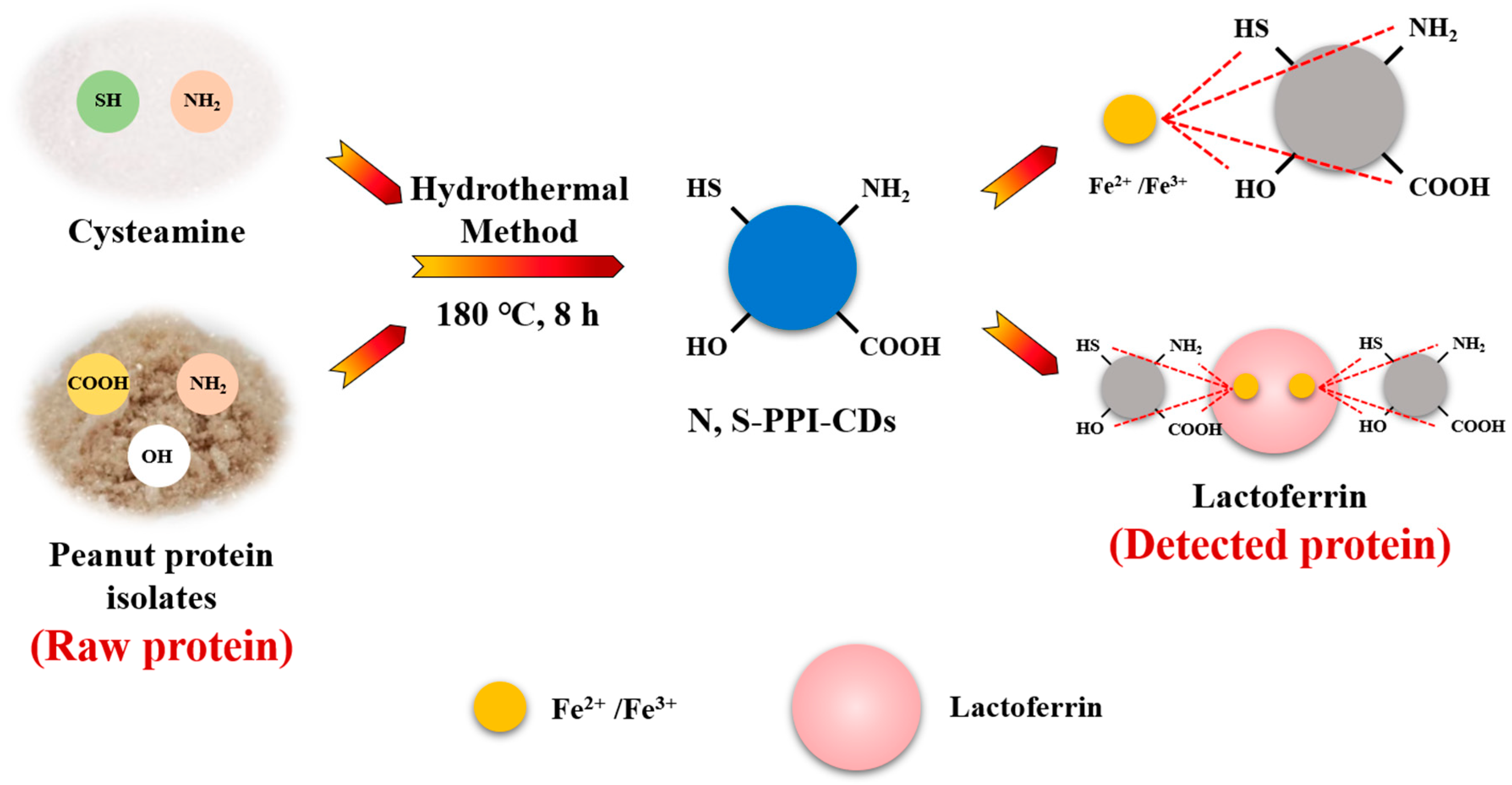 Polymers 15 00216 sch001