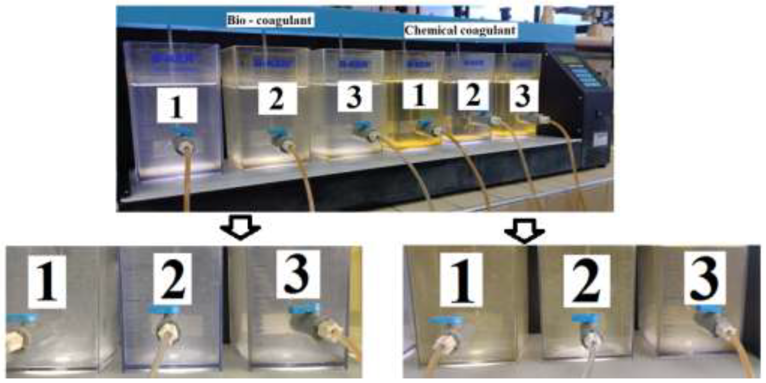 Polymers 15 00217 g001