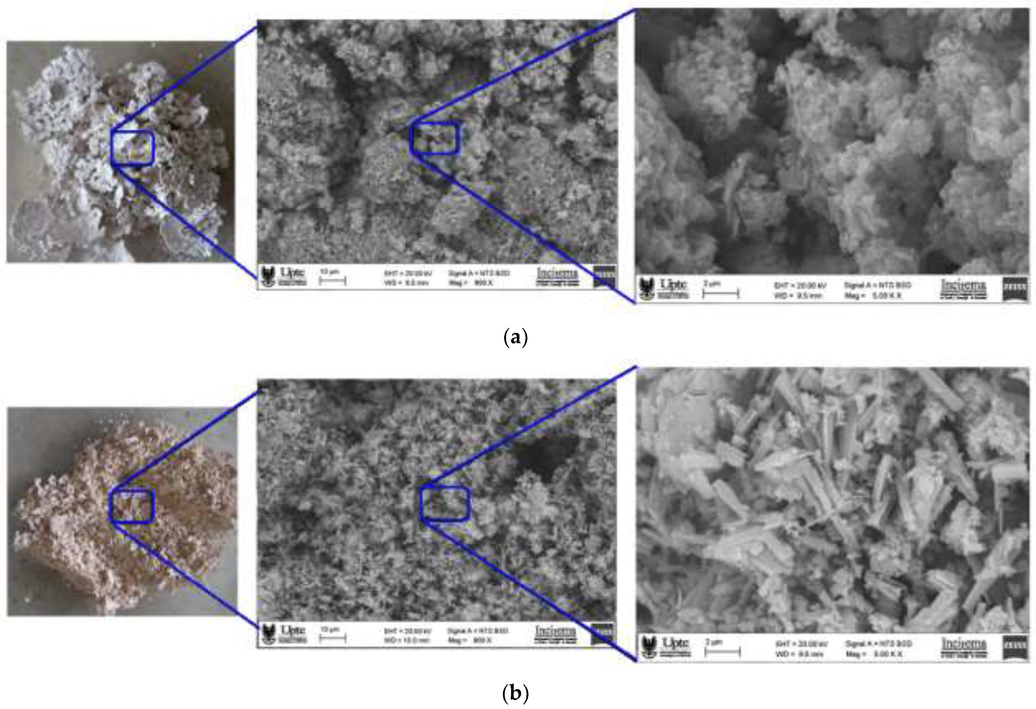 Polymers 15 00217 g005
