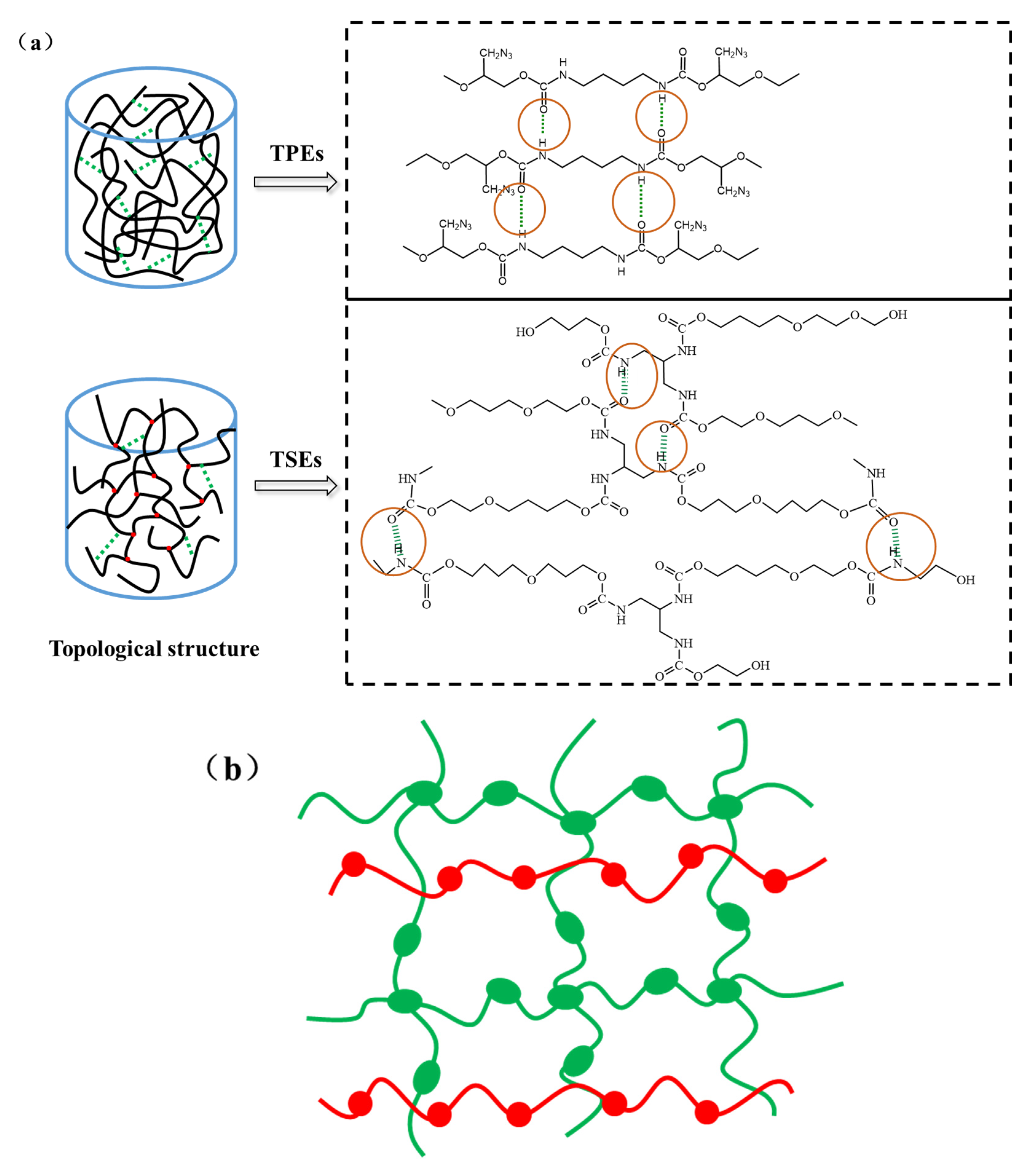 Polymers 15 00226 g001