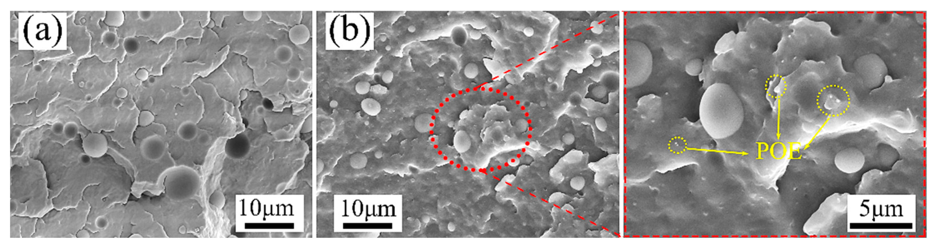 Polymers 15 00227 g004