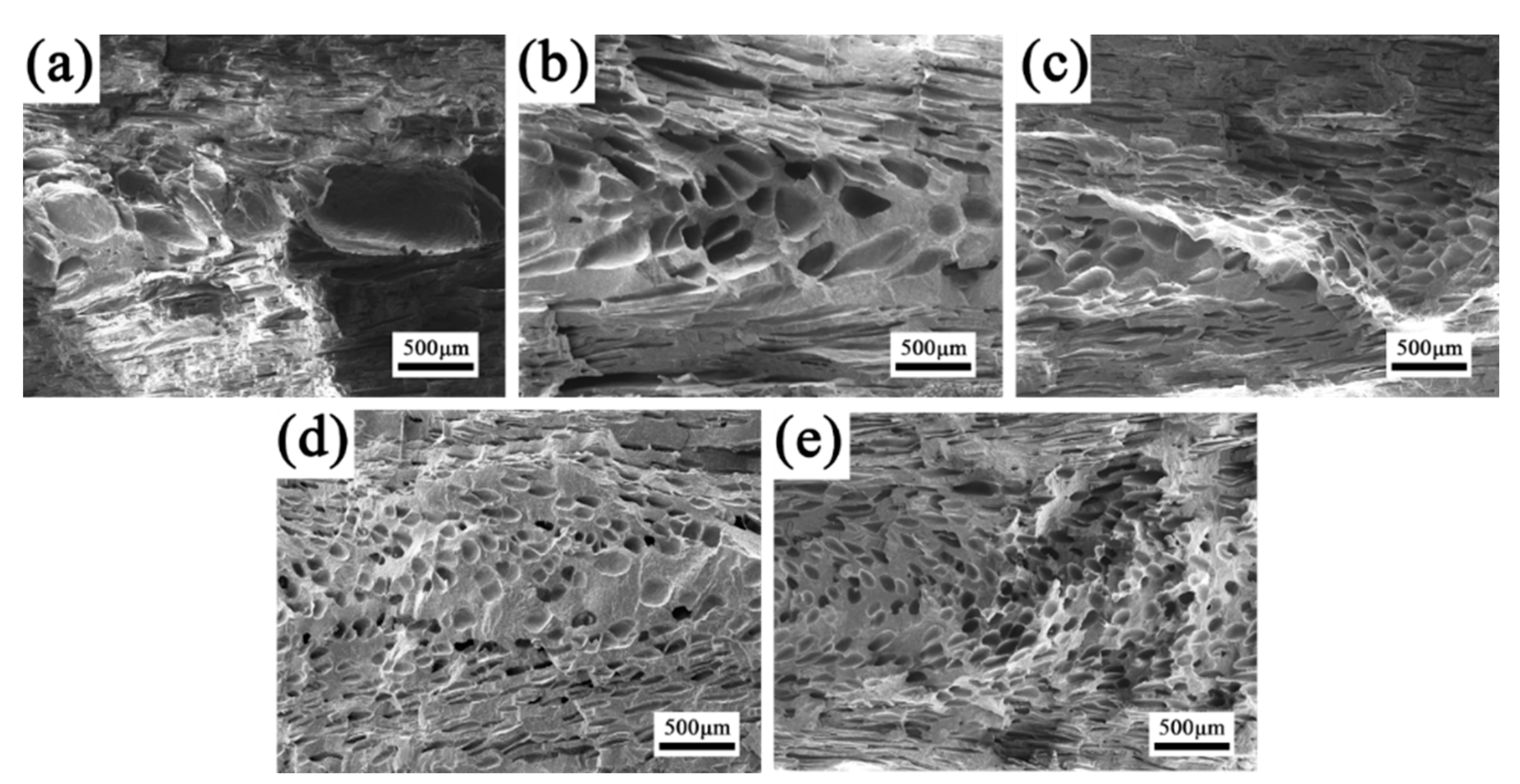 Polymers 15 00227 g011