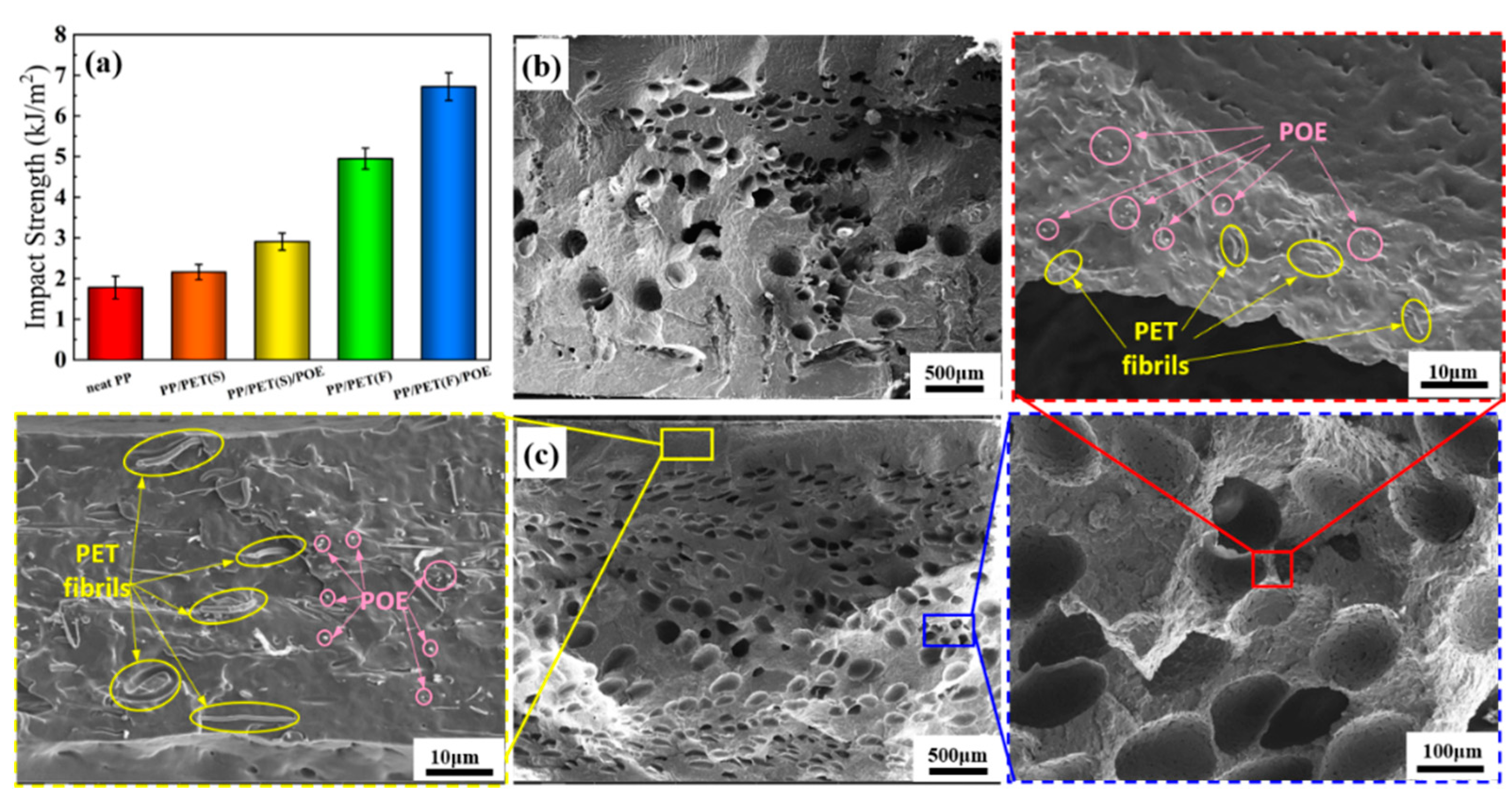 Polymers 15 00227 g013