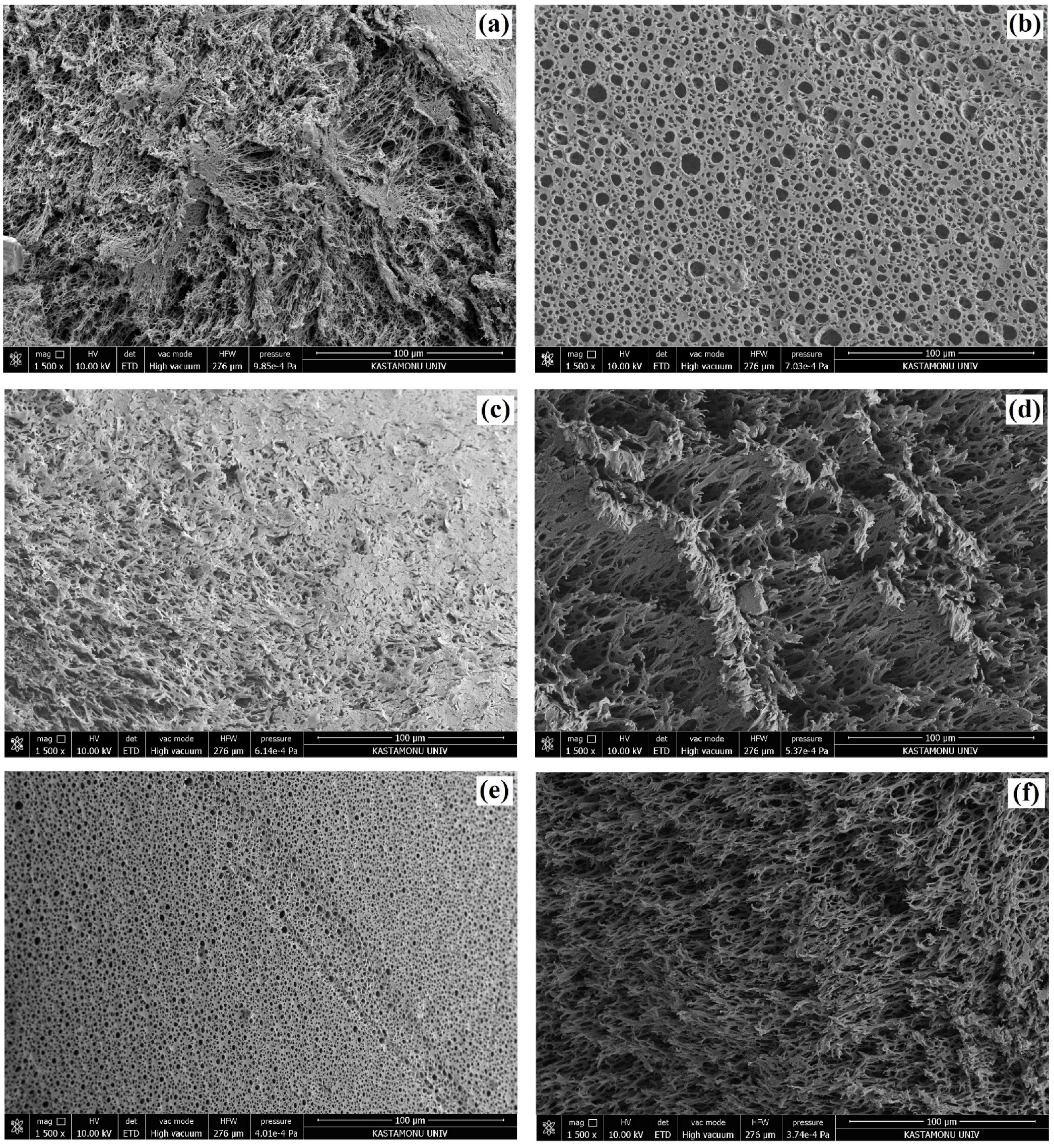 Polymers 15 00228 g004 Polymers 15 00228 g004