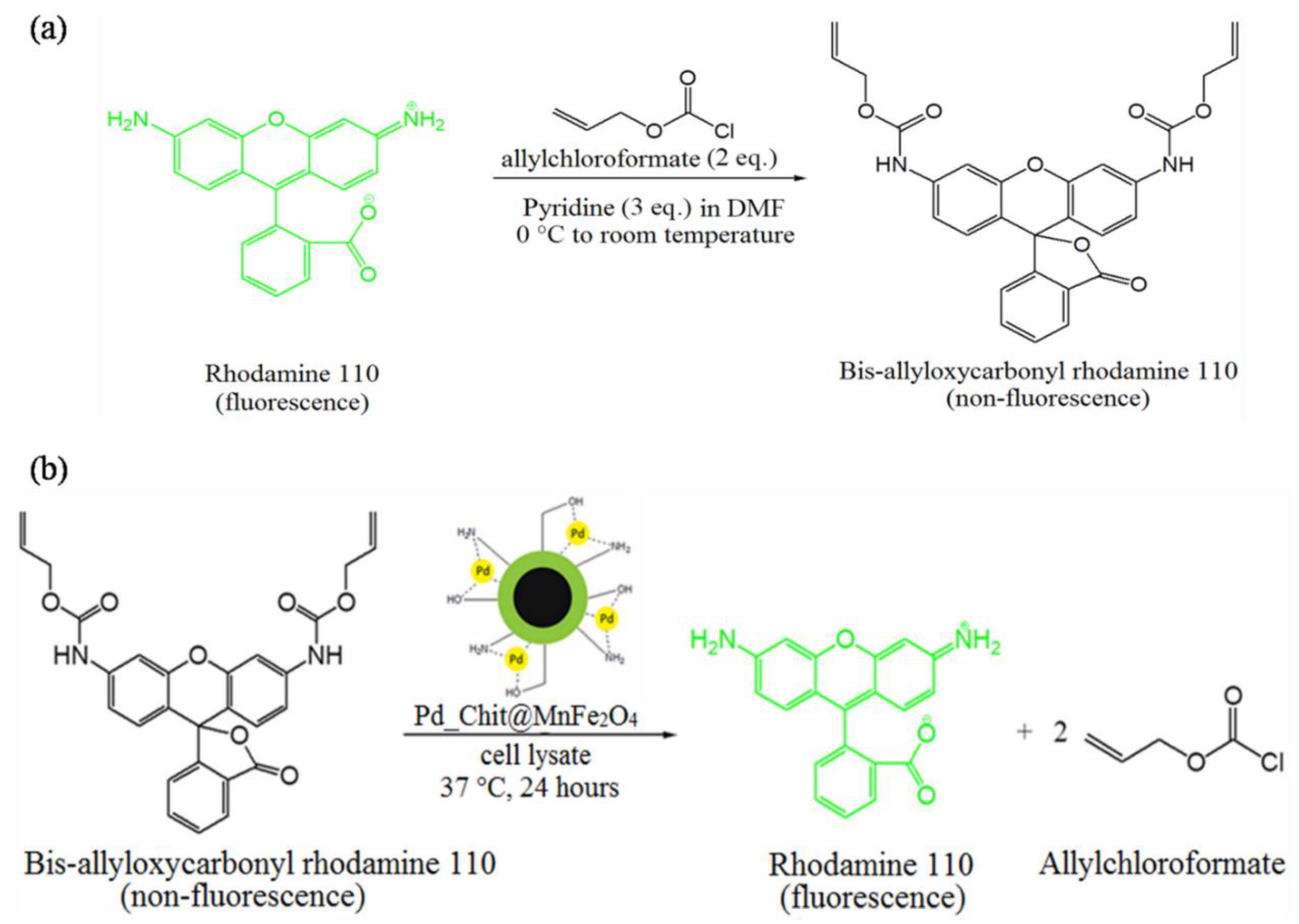 Polymers 15 00232 sch001