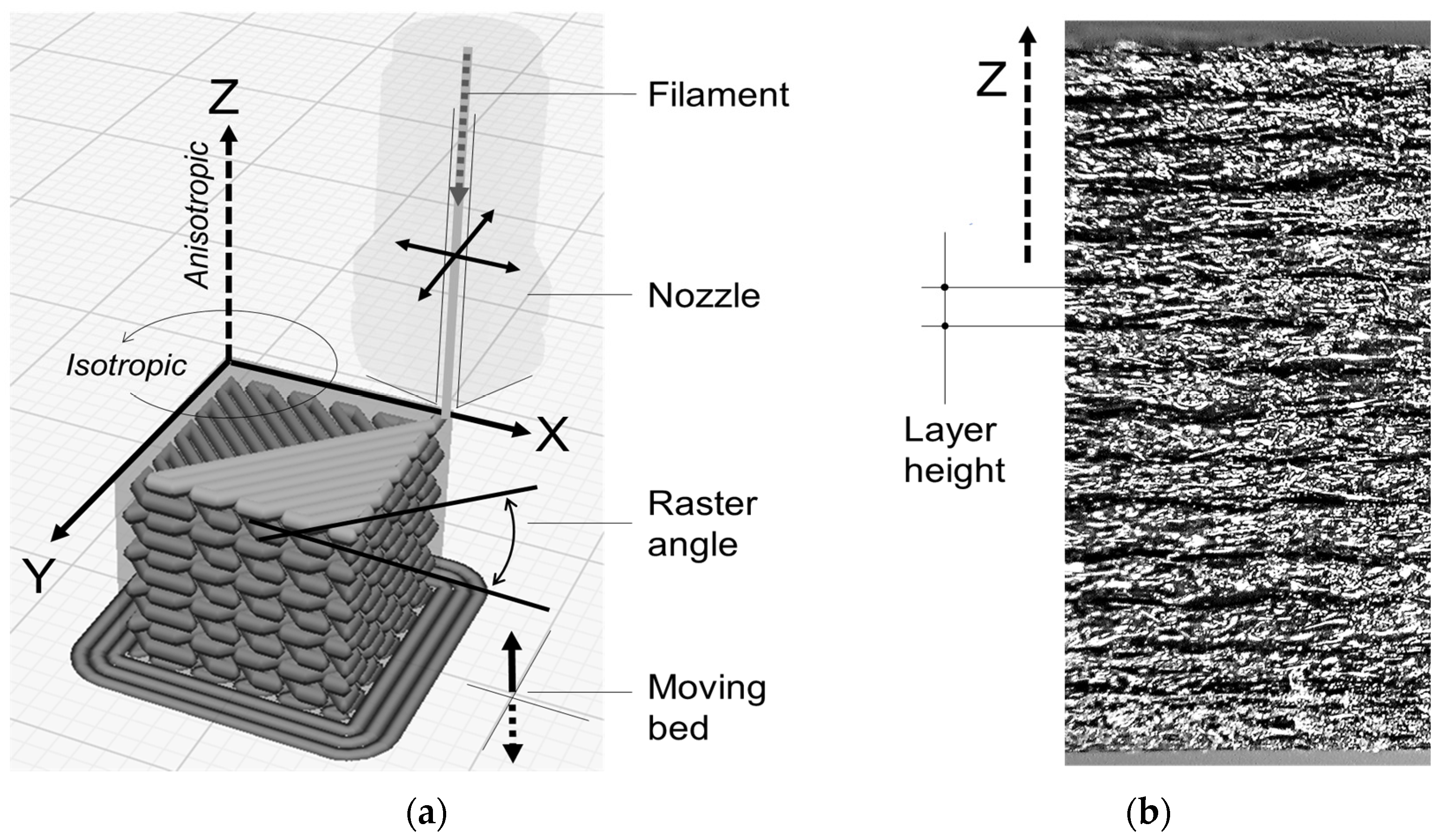 Polymers 15 00234 g001