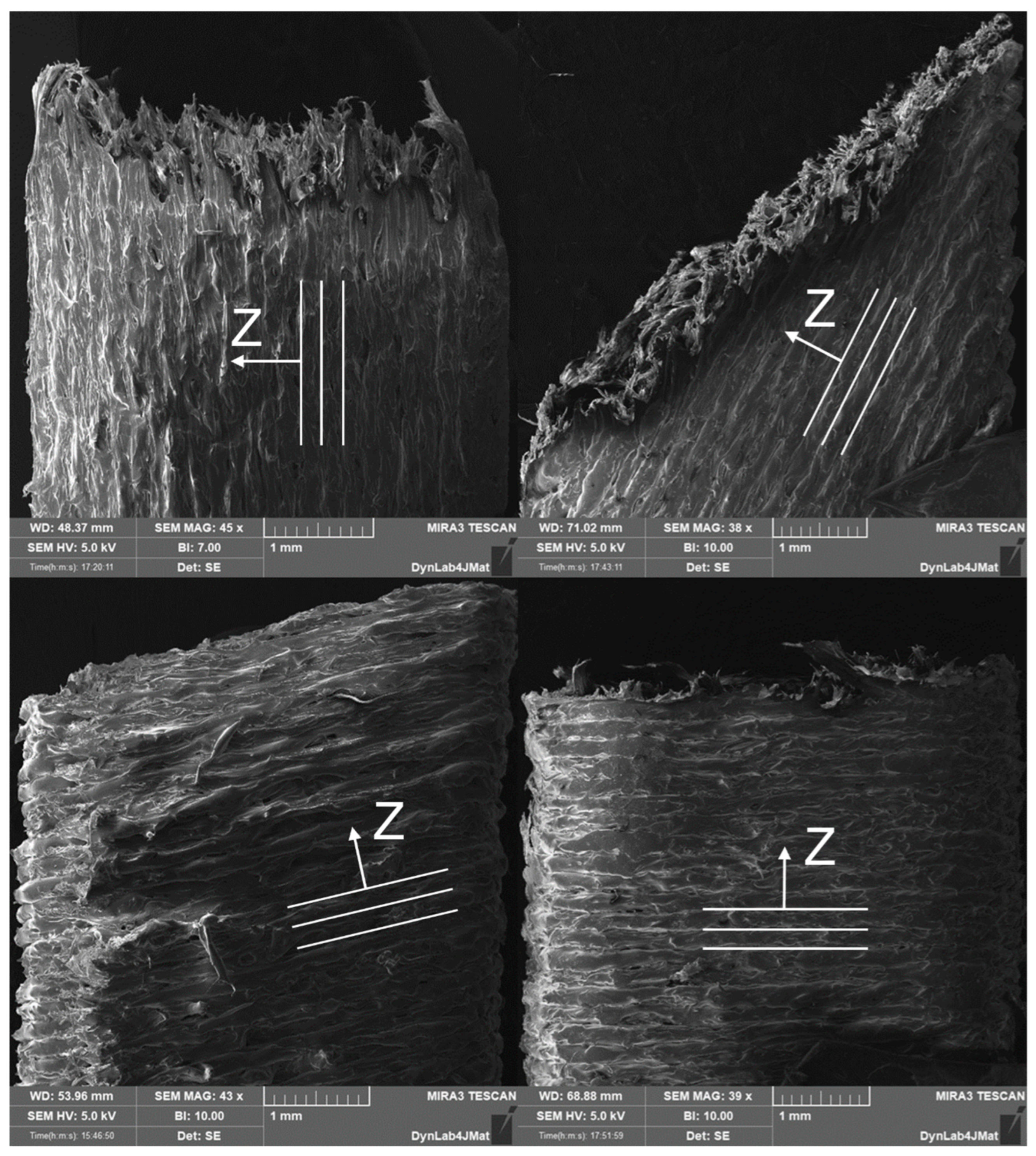 Polymers 15 00234 g009