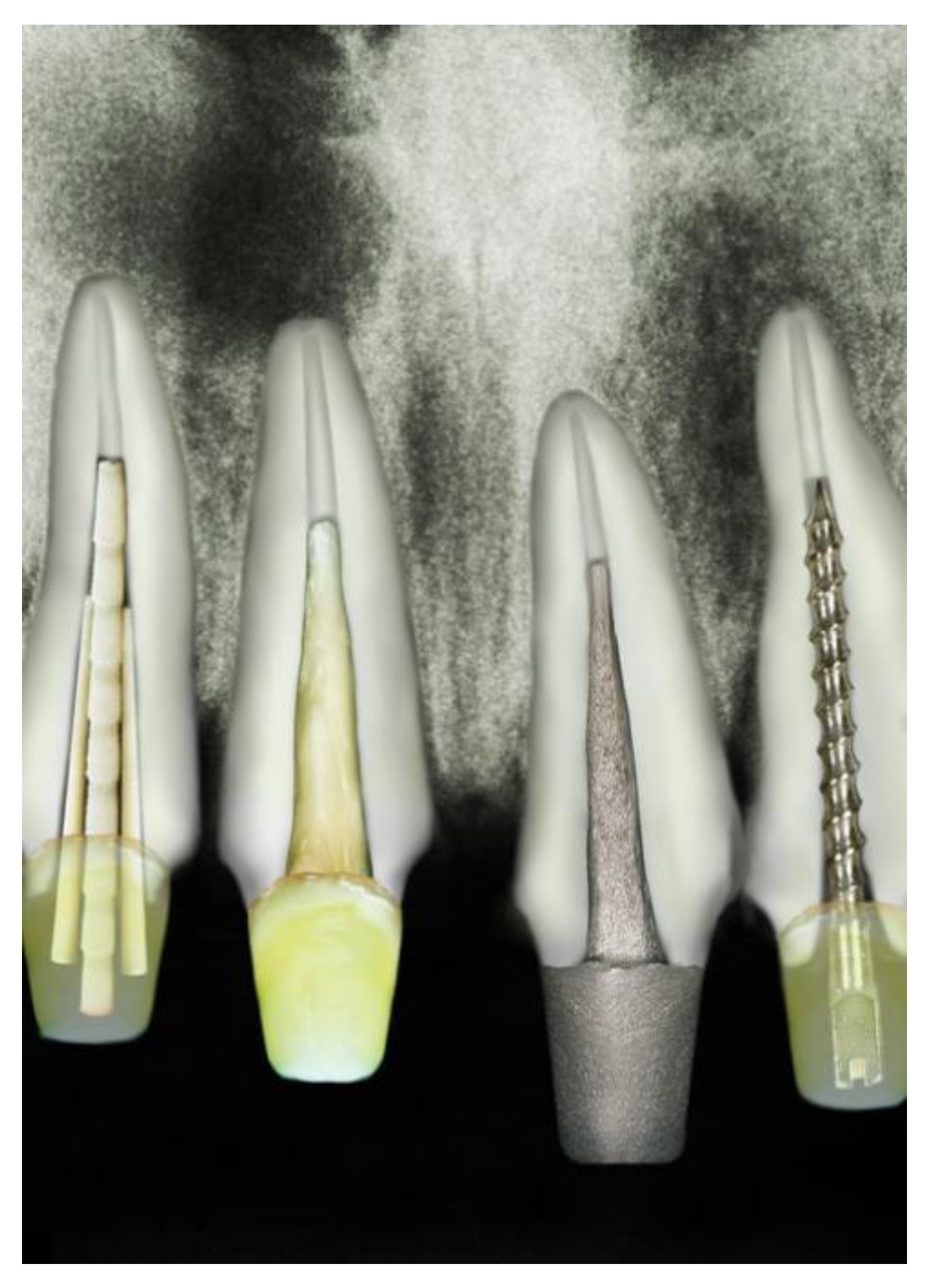 Polymers 15 00236 g001
