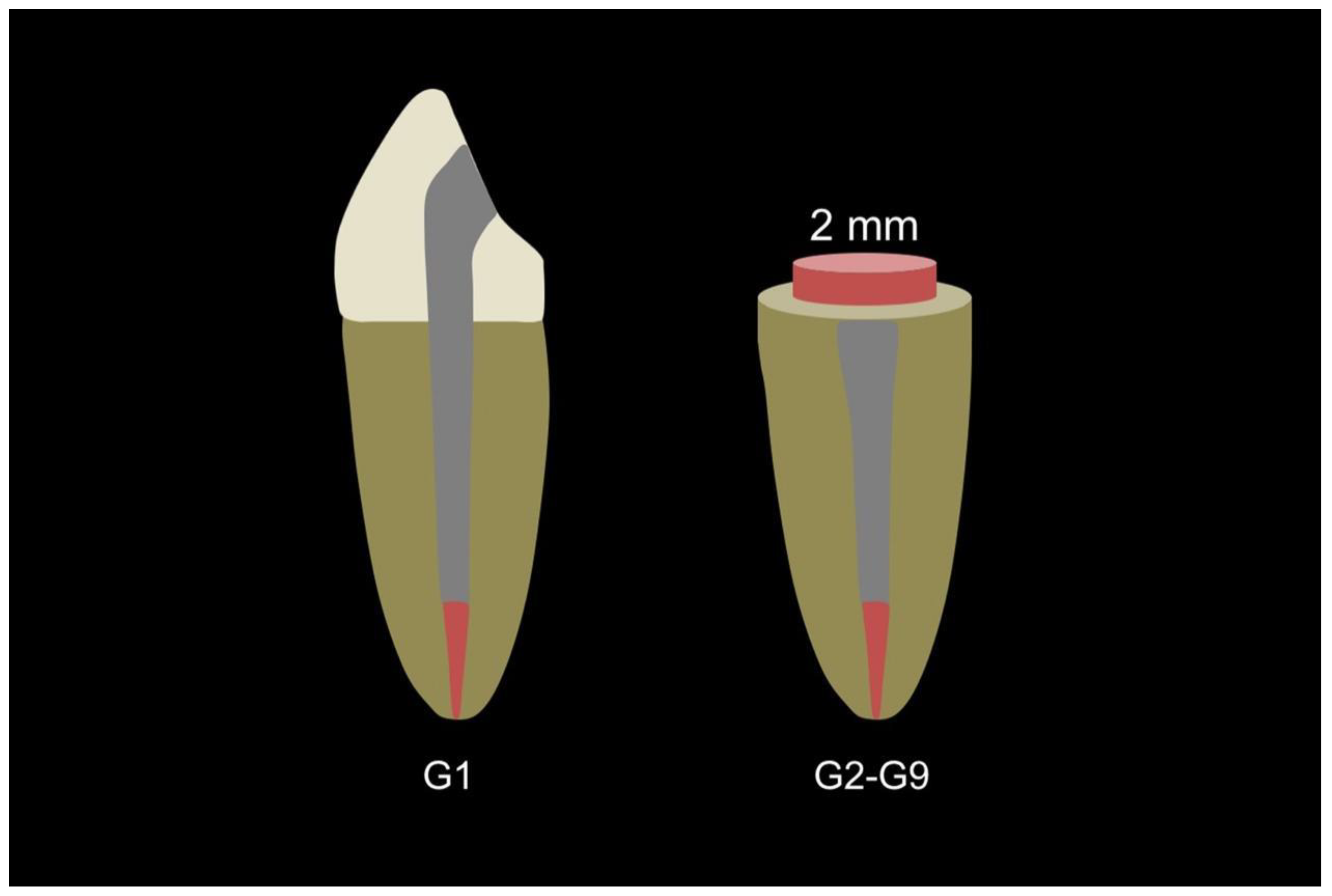 Polymers 15 00236 g002