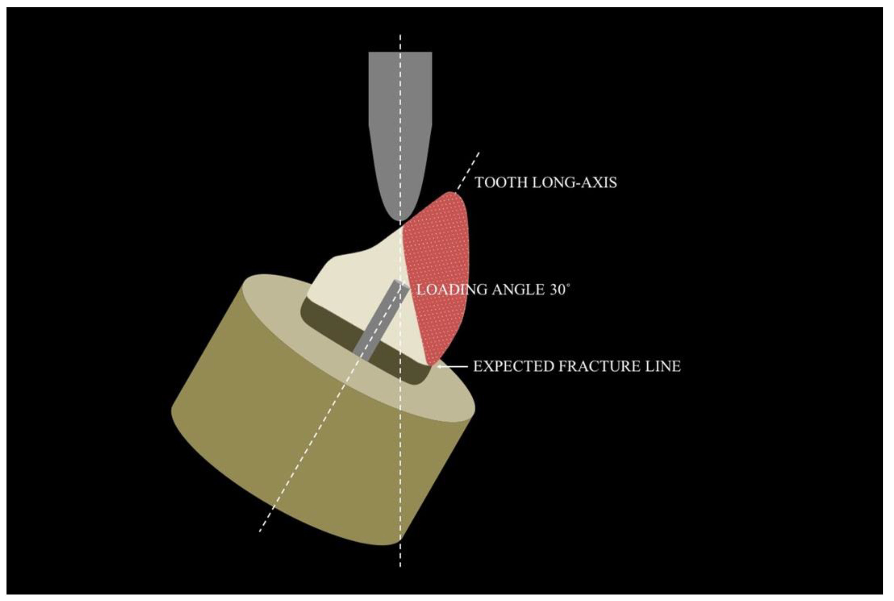 Polymers 15 00236 g003