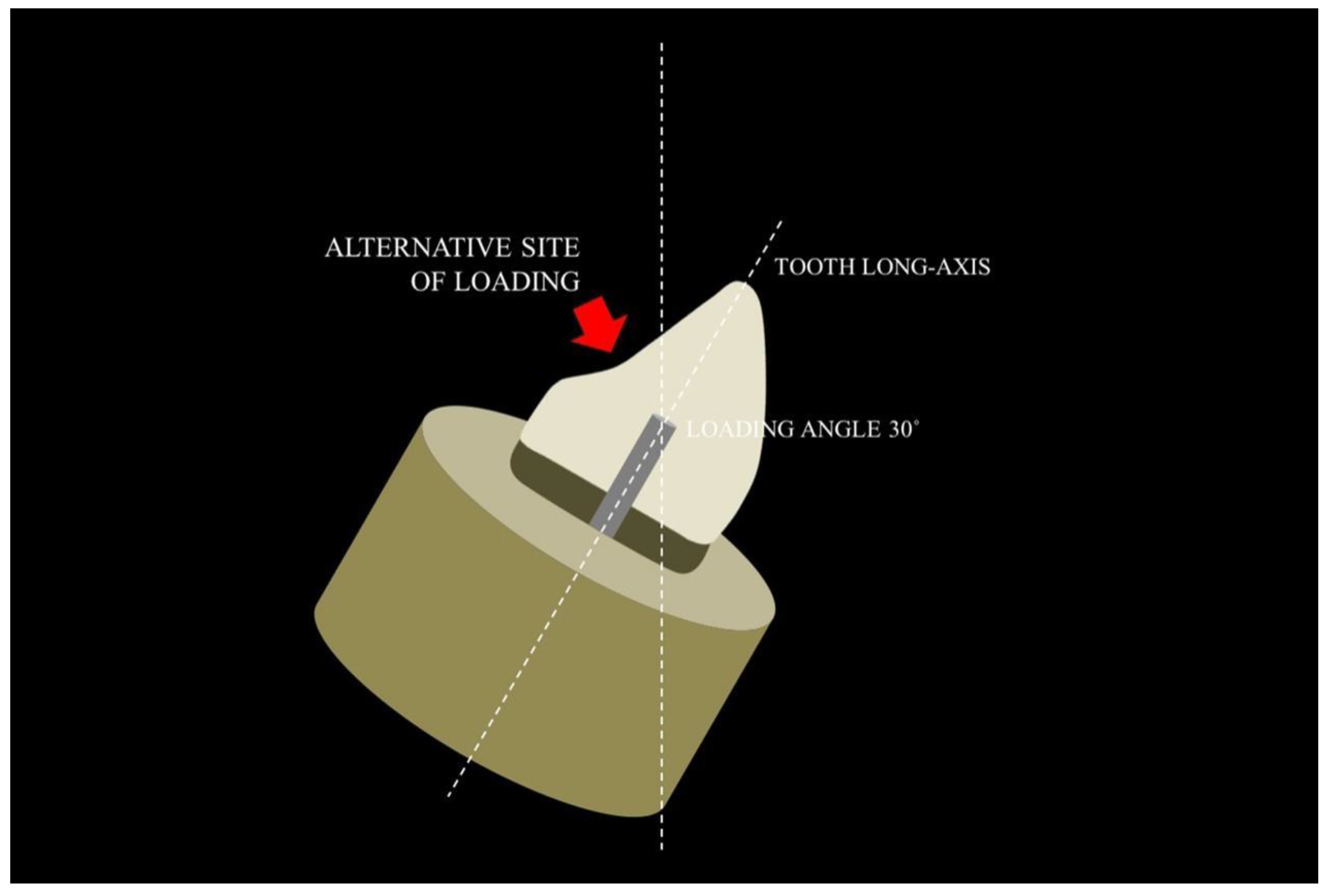 Polymers 15 00236 g005