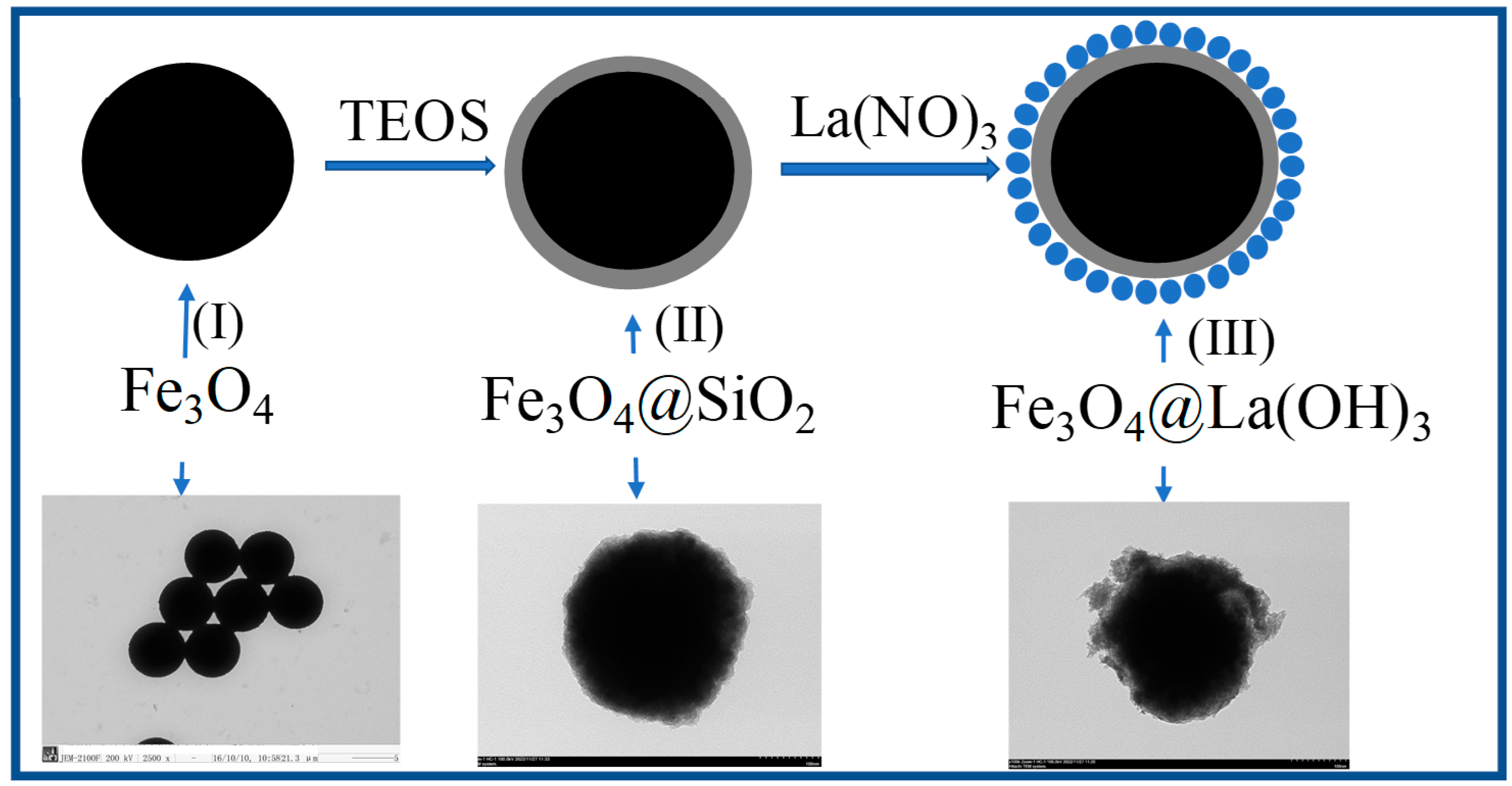 Polymers 15 00248 g001