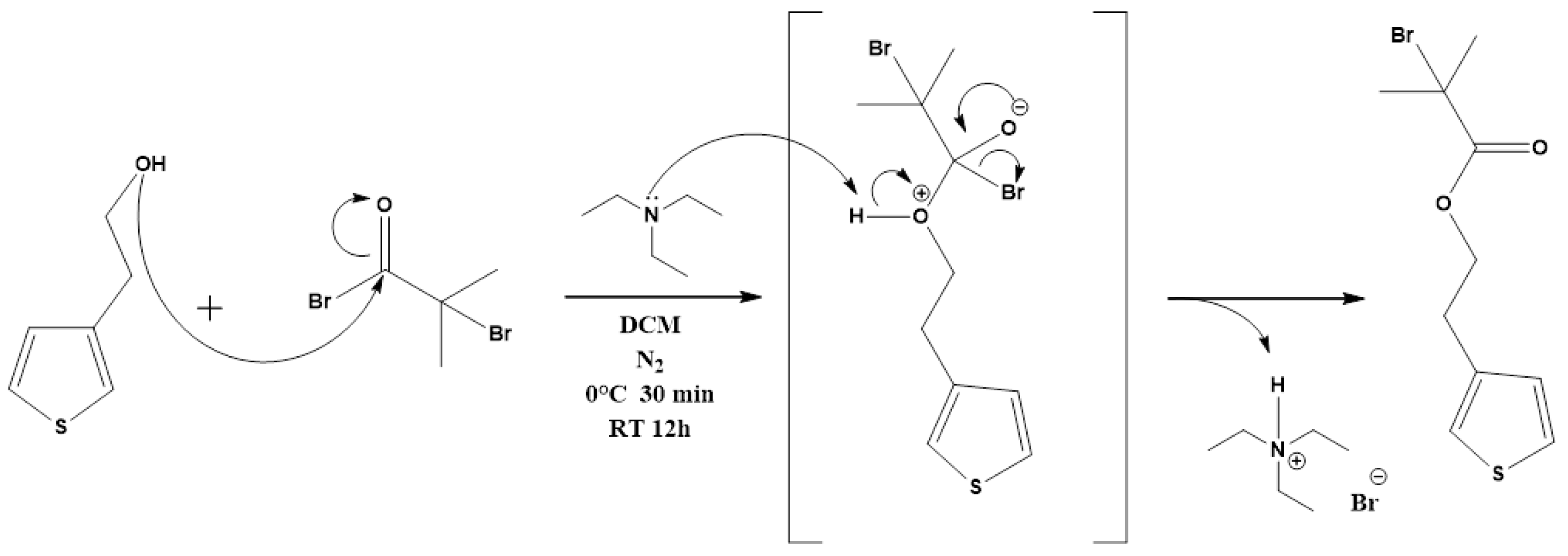 Polymers 15 00253 g001 Polymers 15 00253 g001