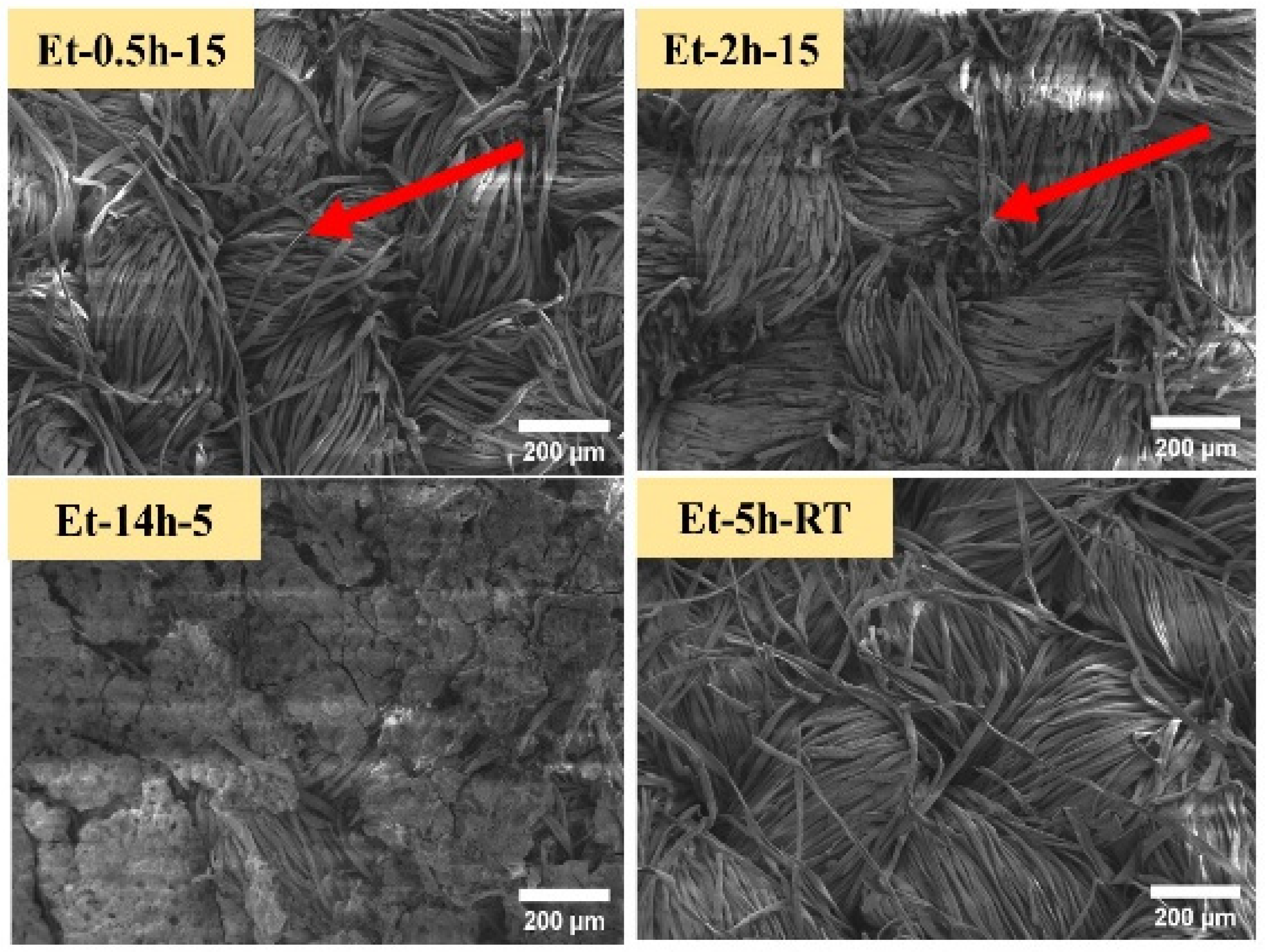 Polymers 15 00258 g002 Polymers 15 00258 g002