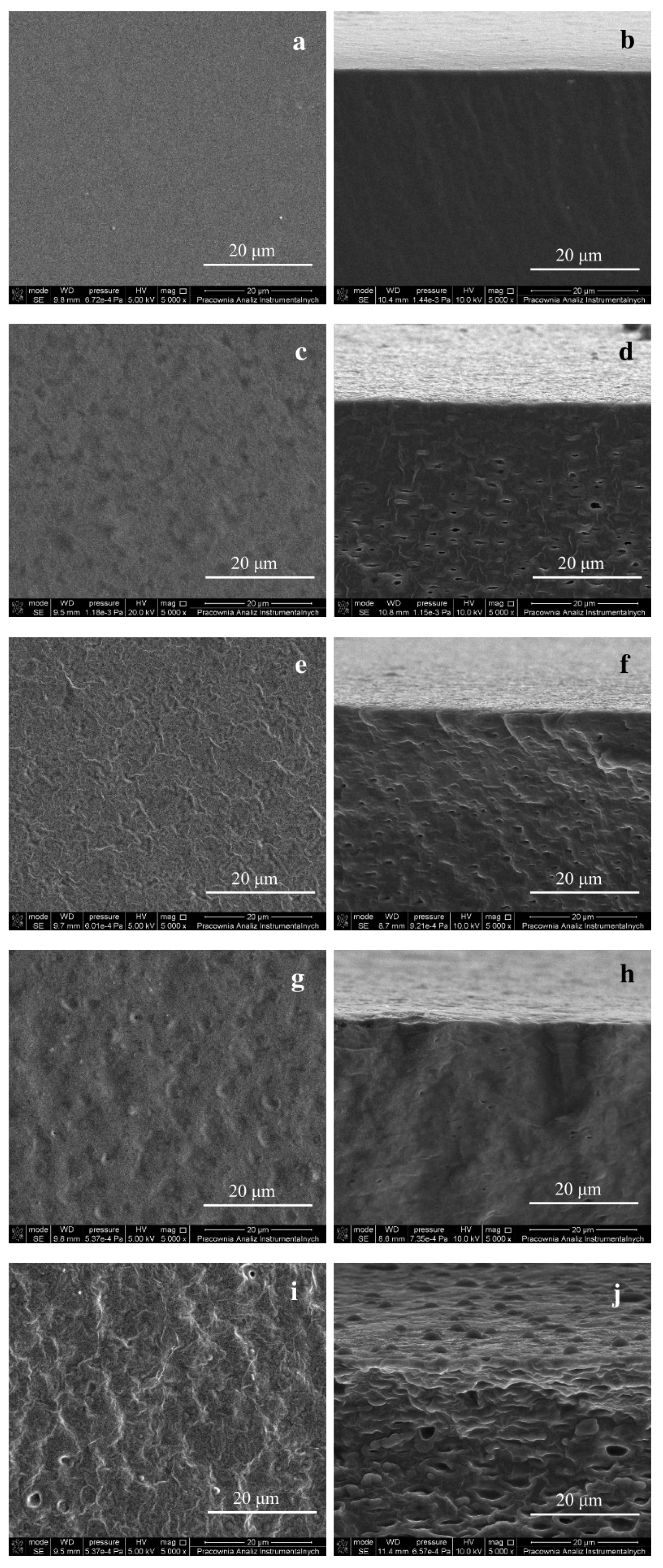 Polymers 15 00260 g002