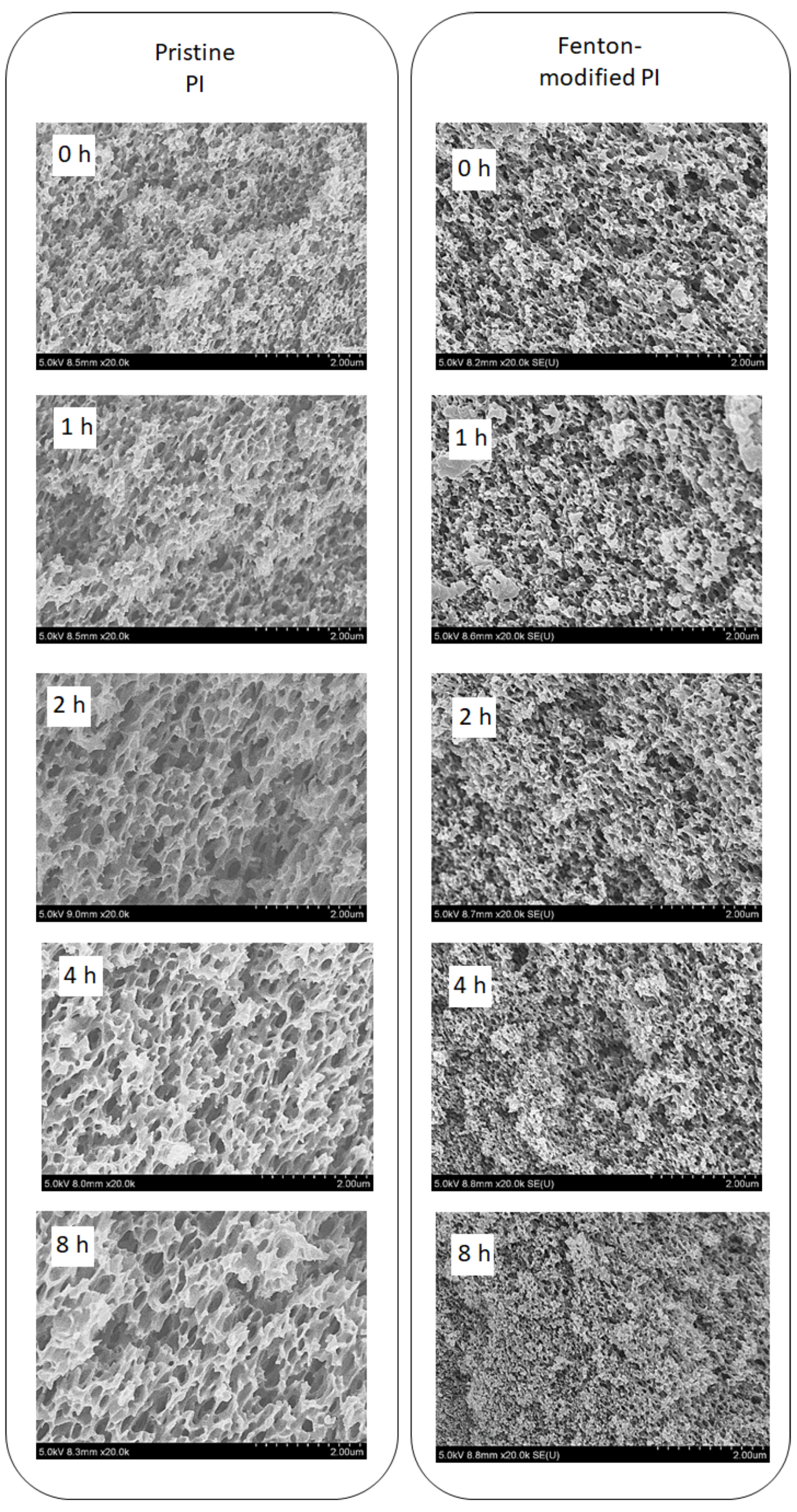 Polymers 15 00264 g006