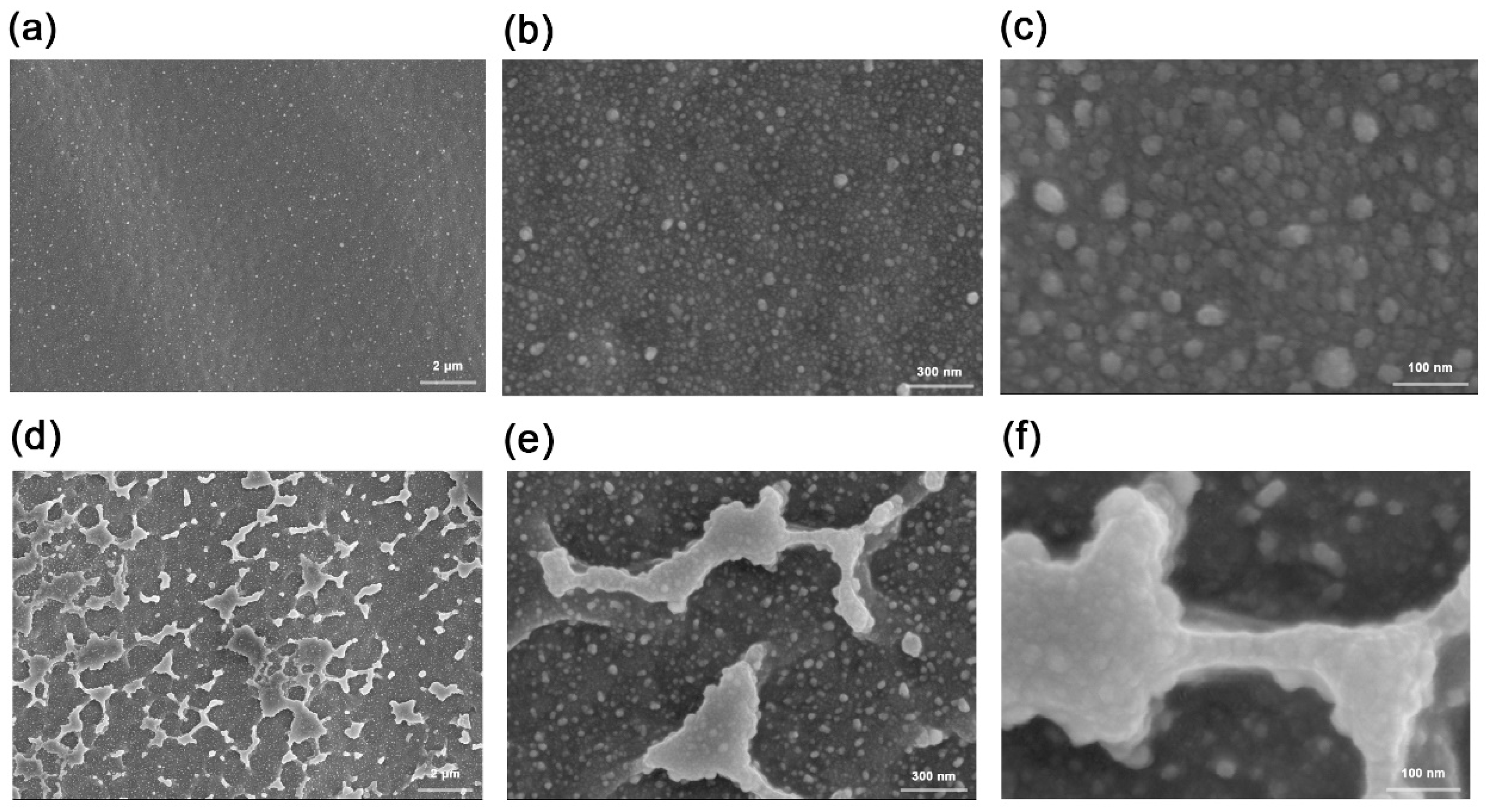 Polymers 15 00270 g008 Polymers 15 00270 g008