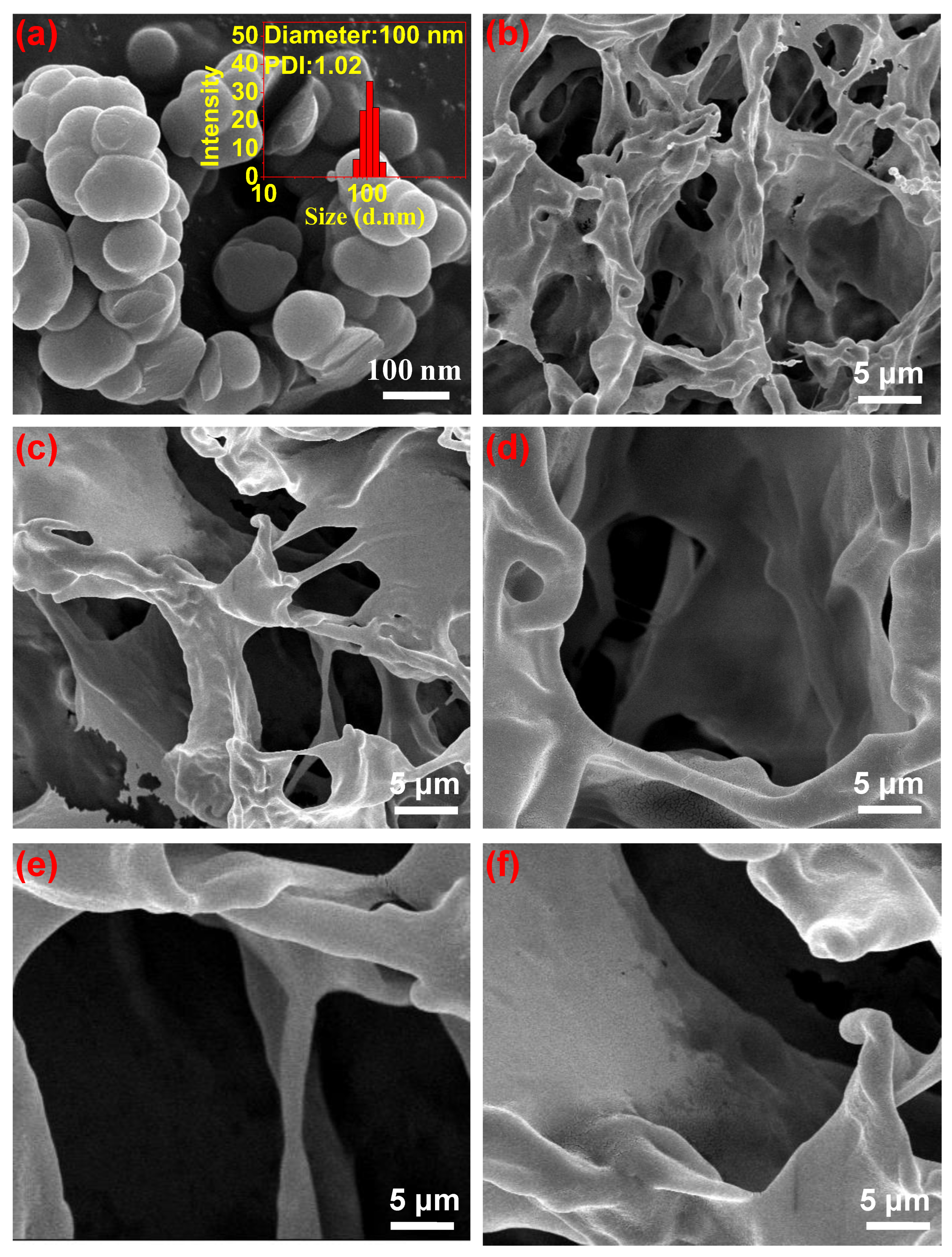 Polymers 15 00271 g002