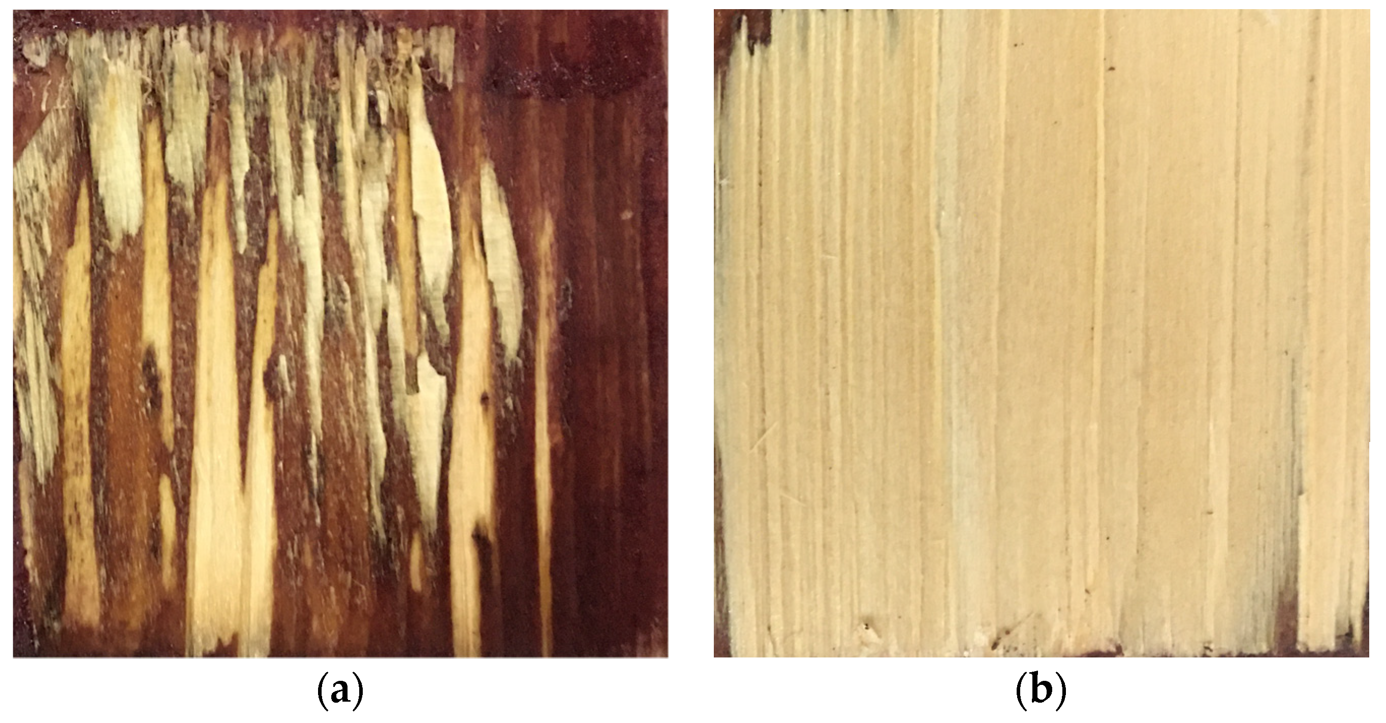 Polymers 15 00295 g014 Polymers 15 00295 g014
