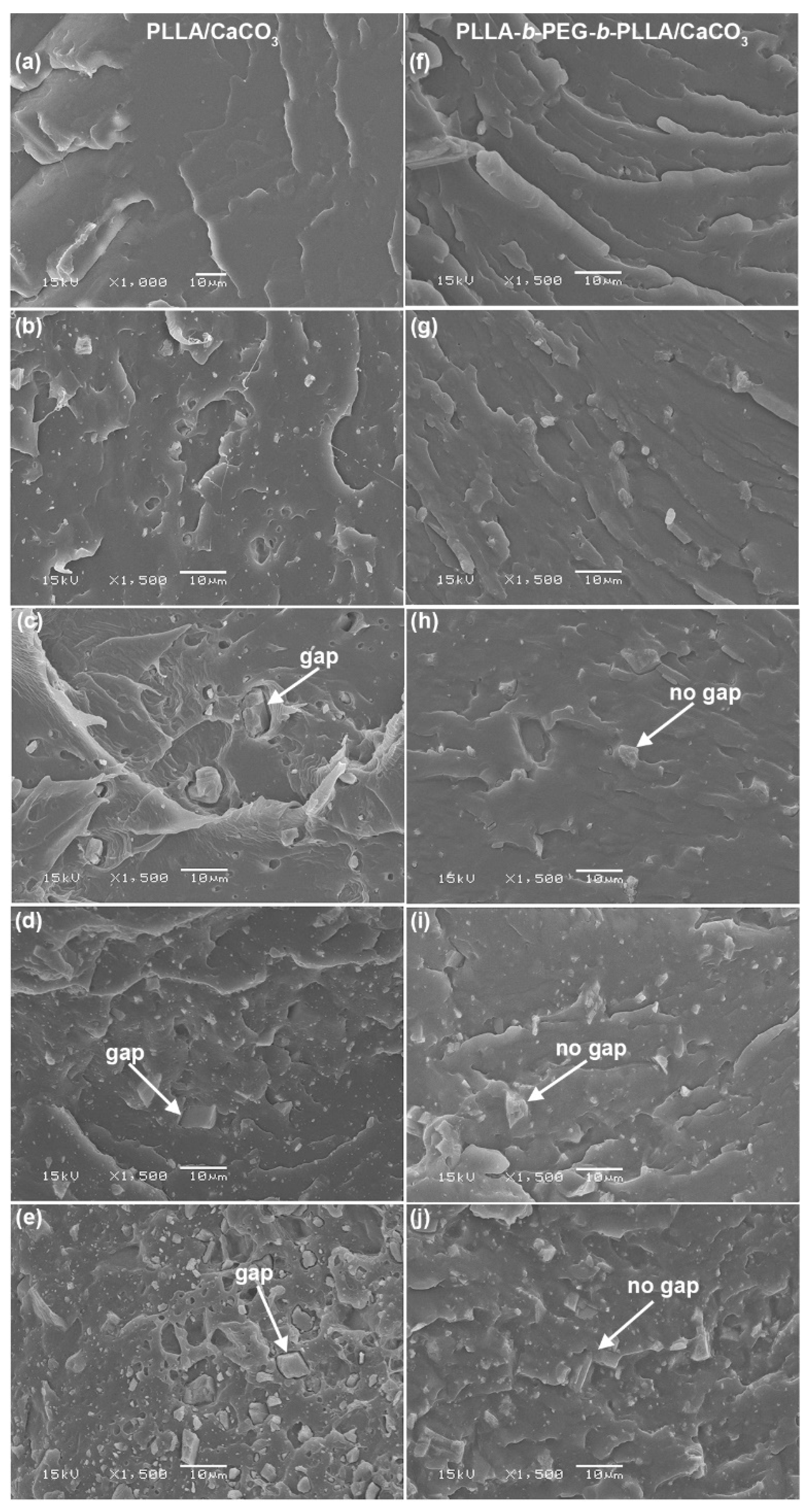Polymers 15 00301 g008 Polymers 15 00301 g008