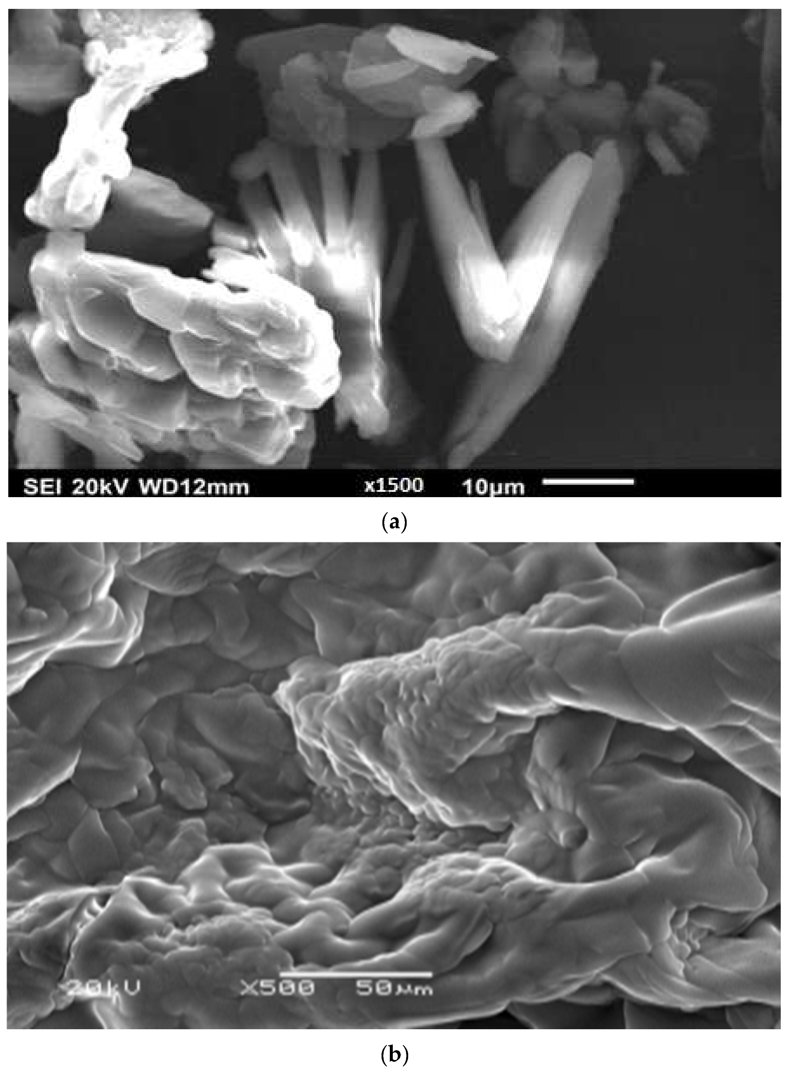 Polymers 15 00306 g002