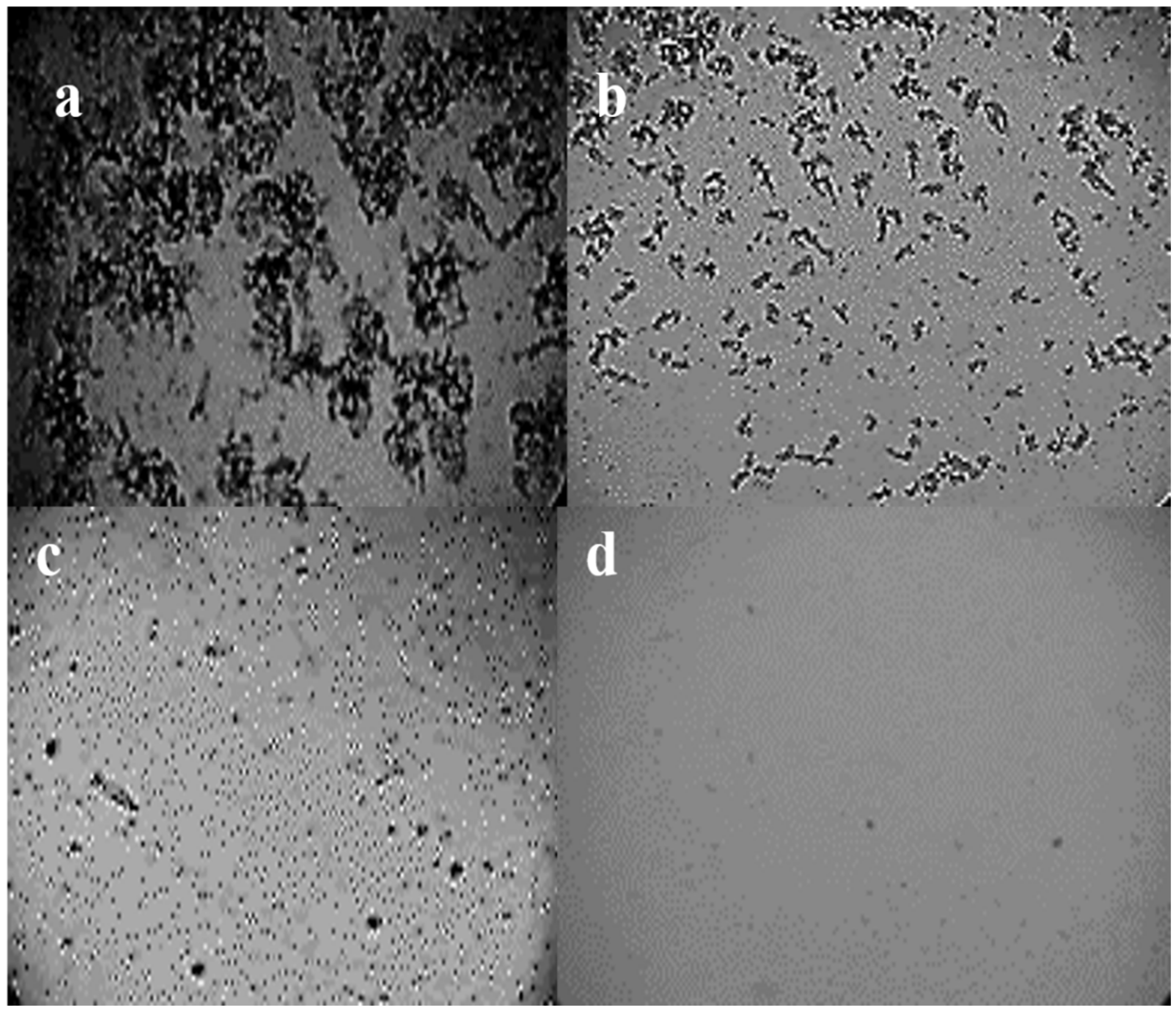 Polymers 15 00306 g008