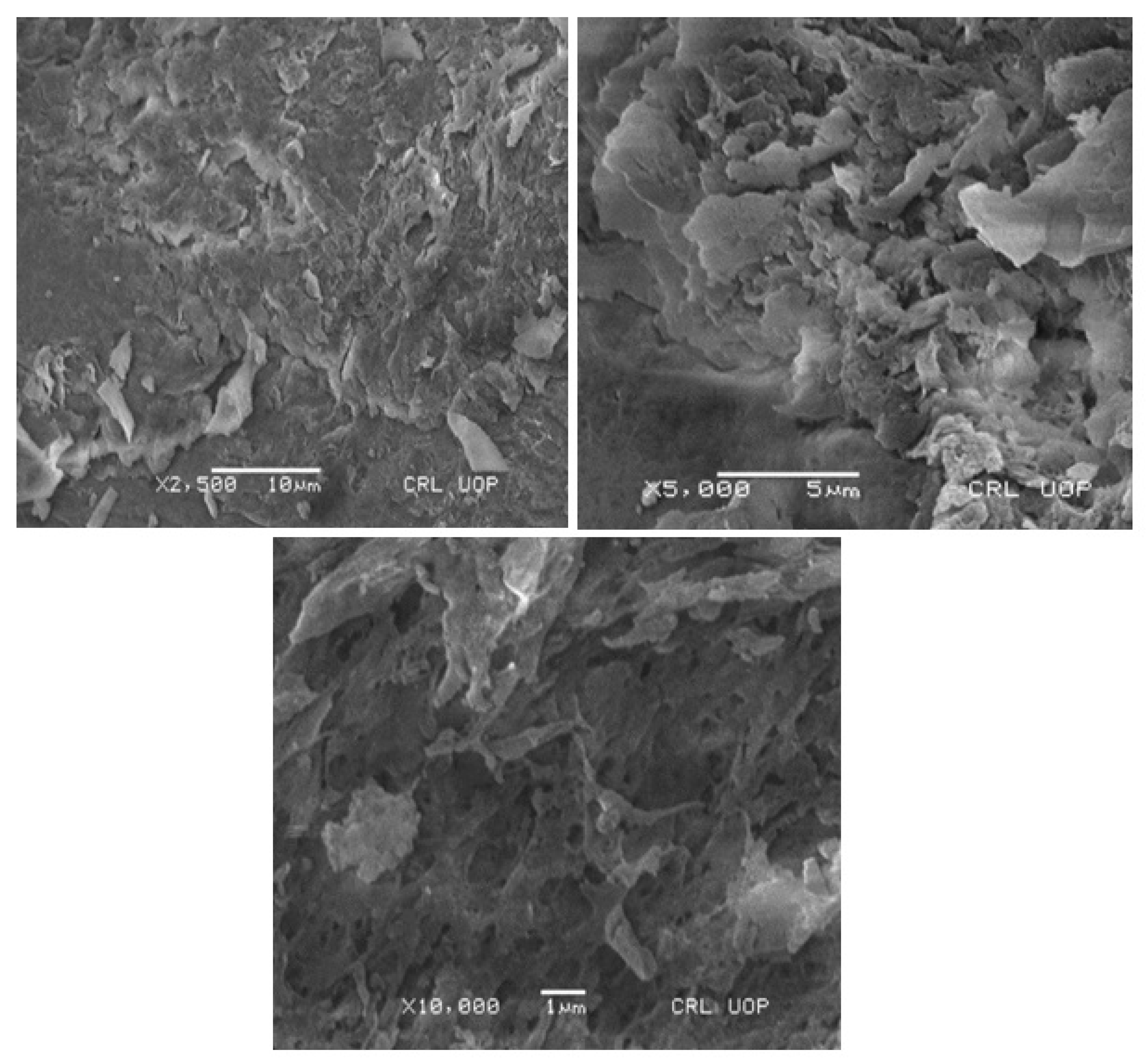 Polymers 15 00311 g010
